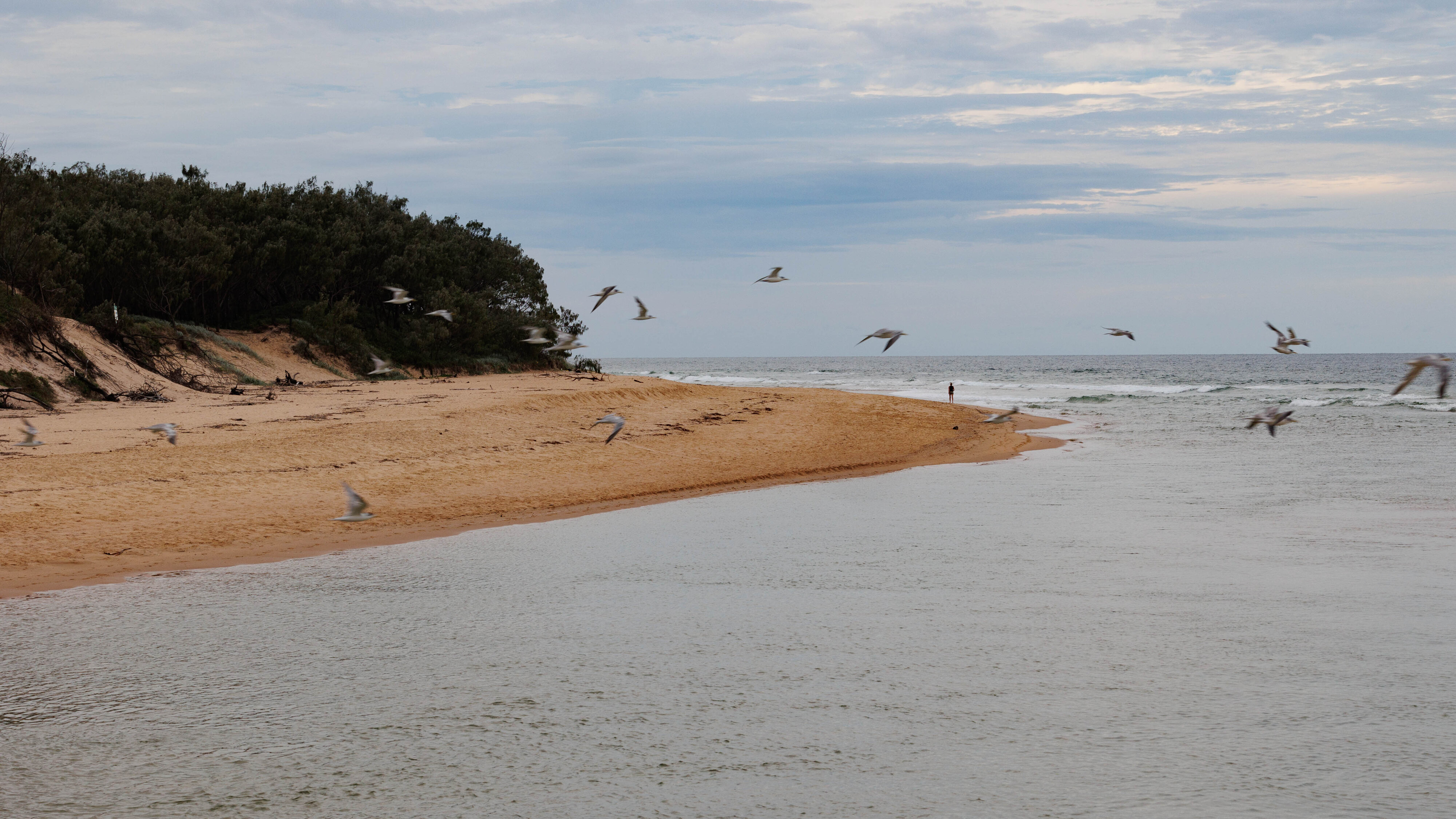 CURRIMMUNDI BEACH-16.jpg