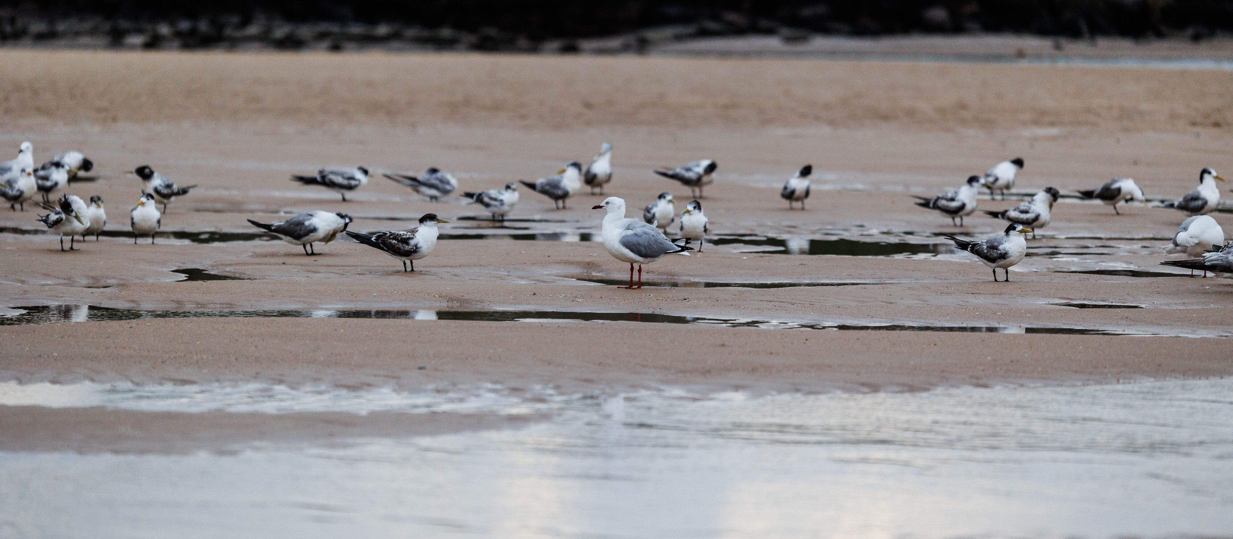 CURRIMMUNDI BEACH-17.jpg