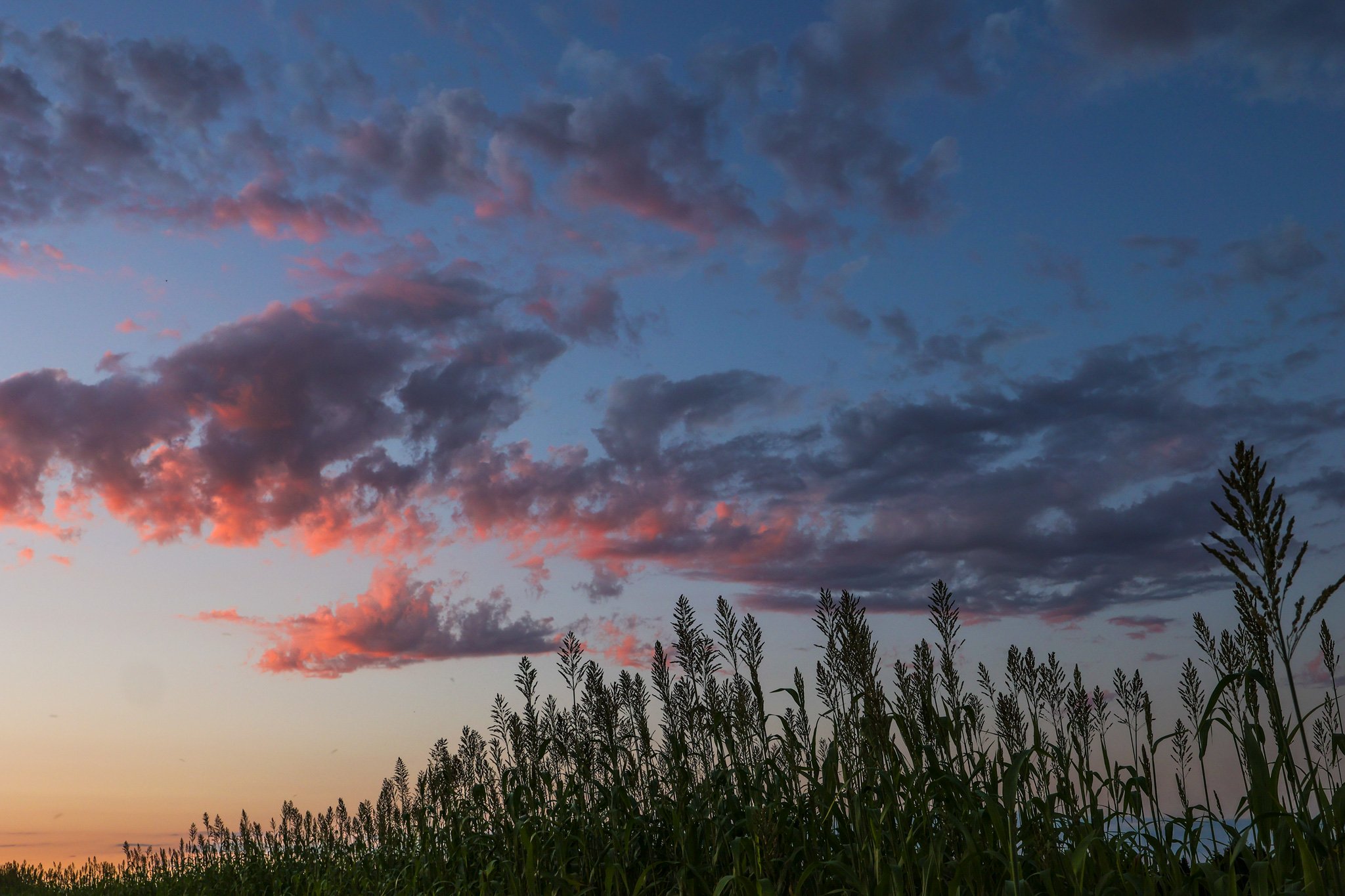 Evening sky over the farm