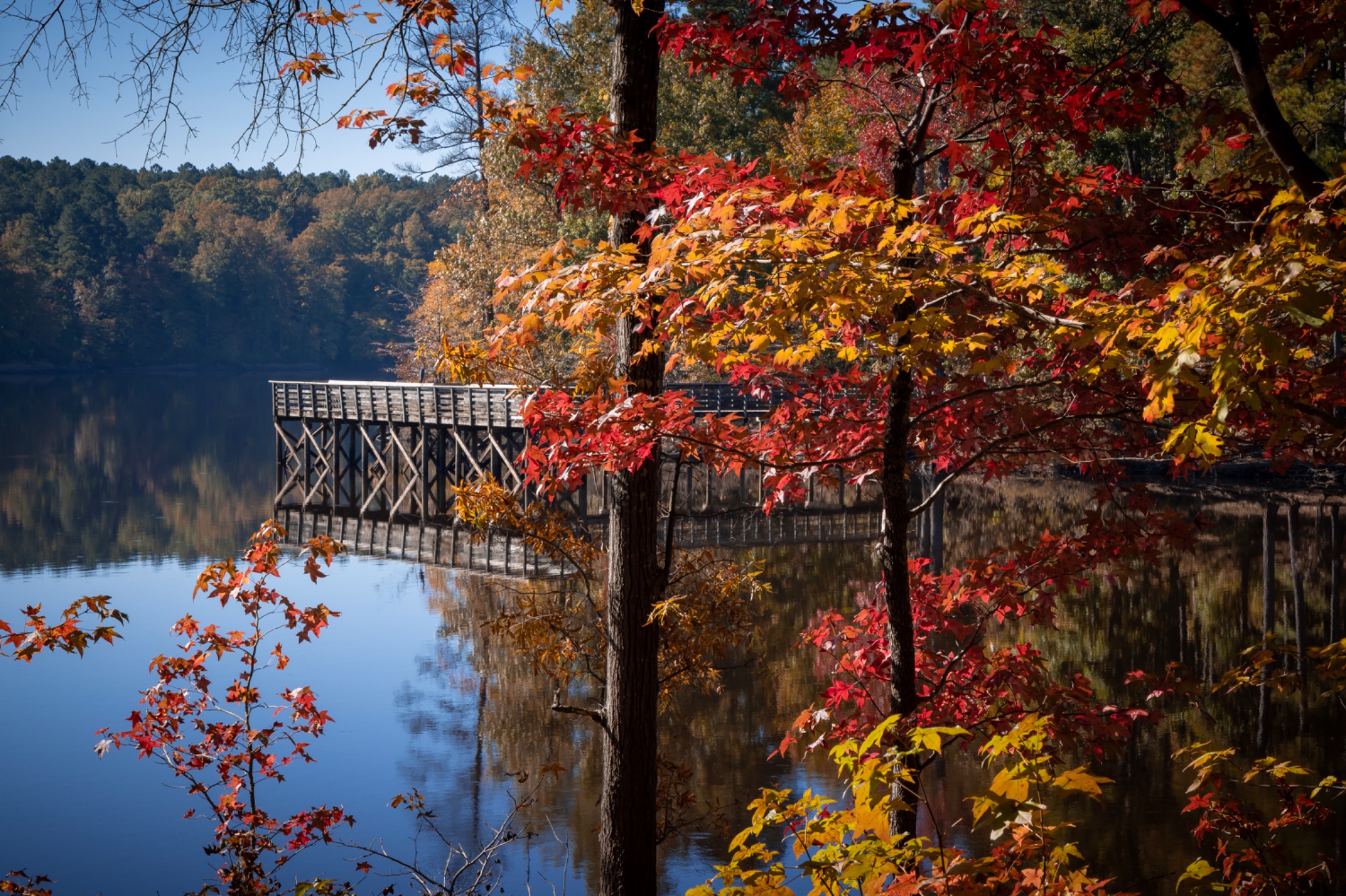 Fall at the Lake.jpg