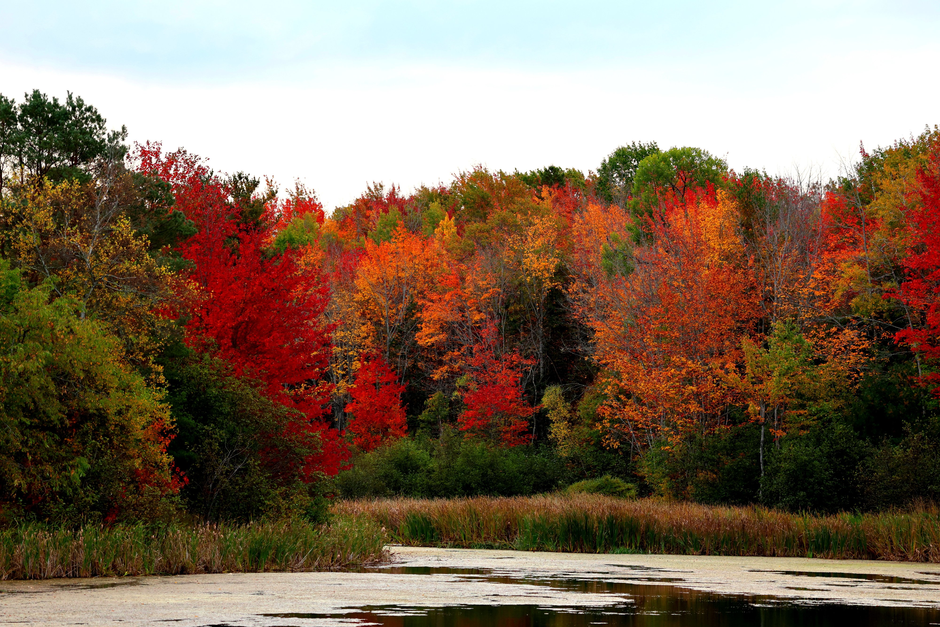 Fall in the Maritimes.jpg