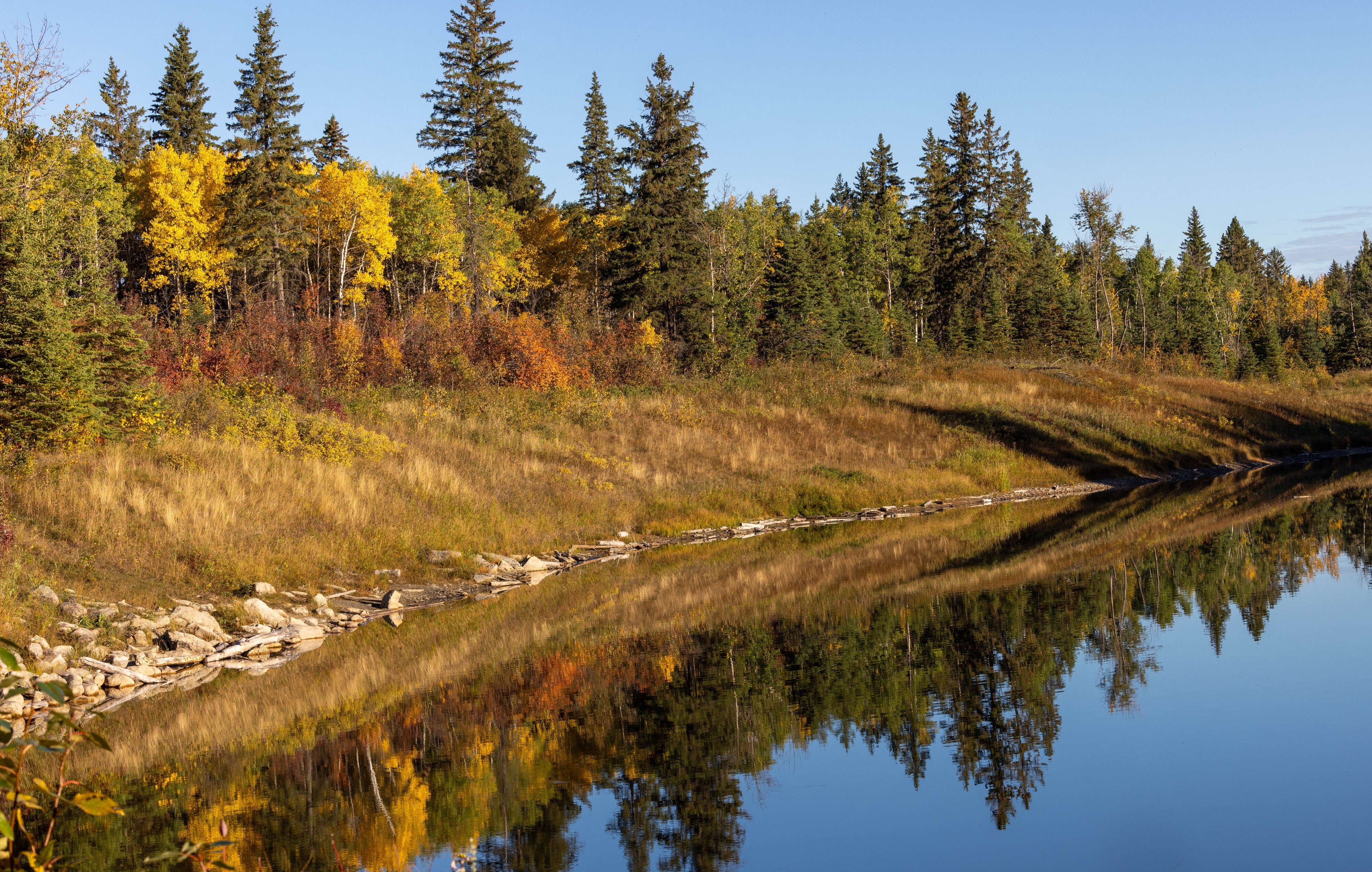 Fall Reflection 1.jpg