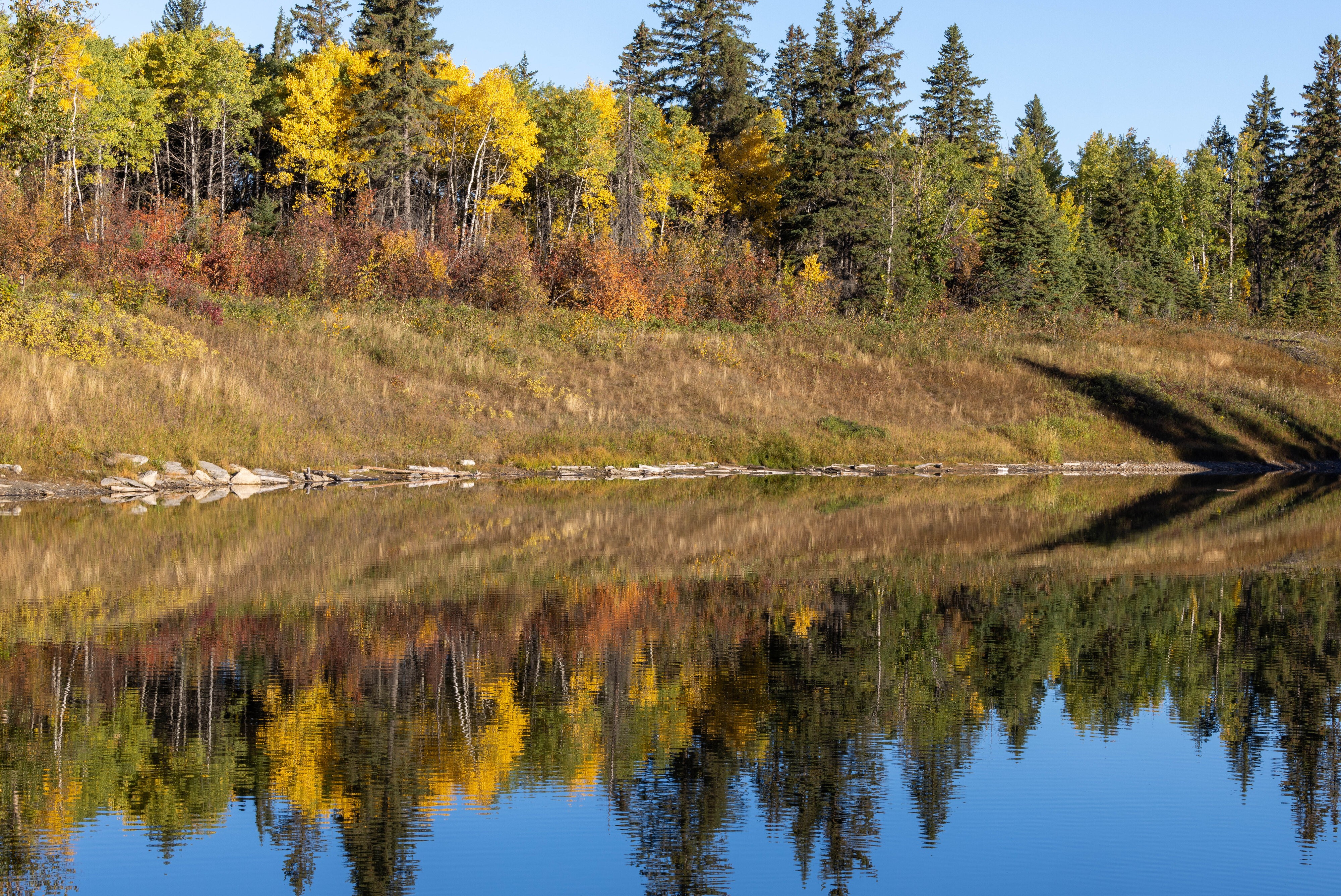 Fall Reflection 2.jpg