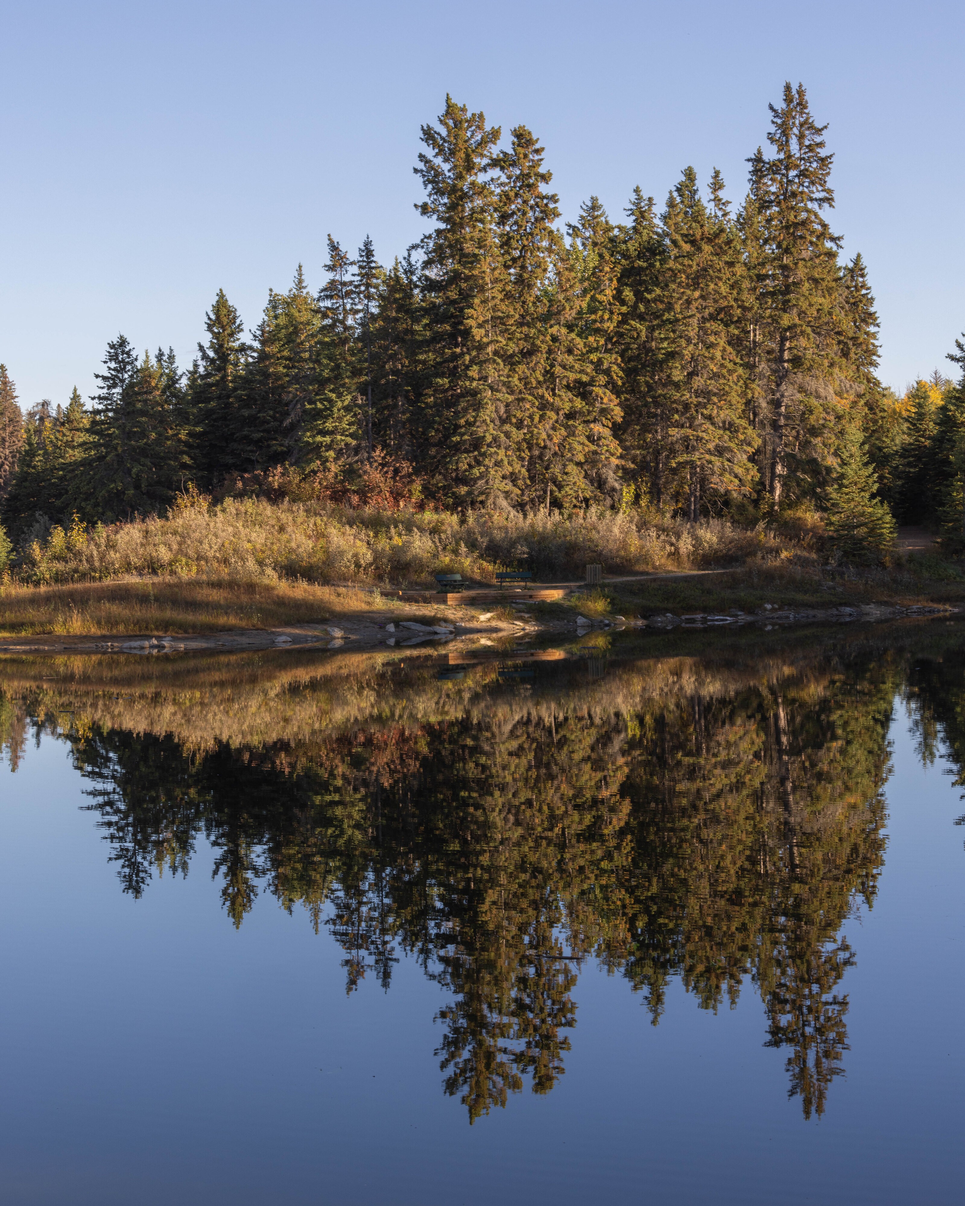 Fall Reflection 4.jpg