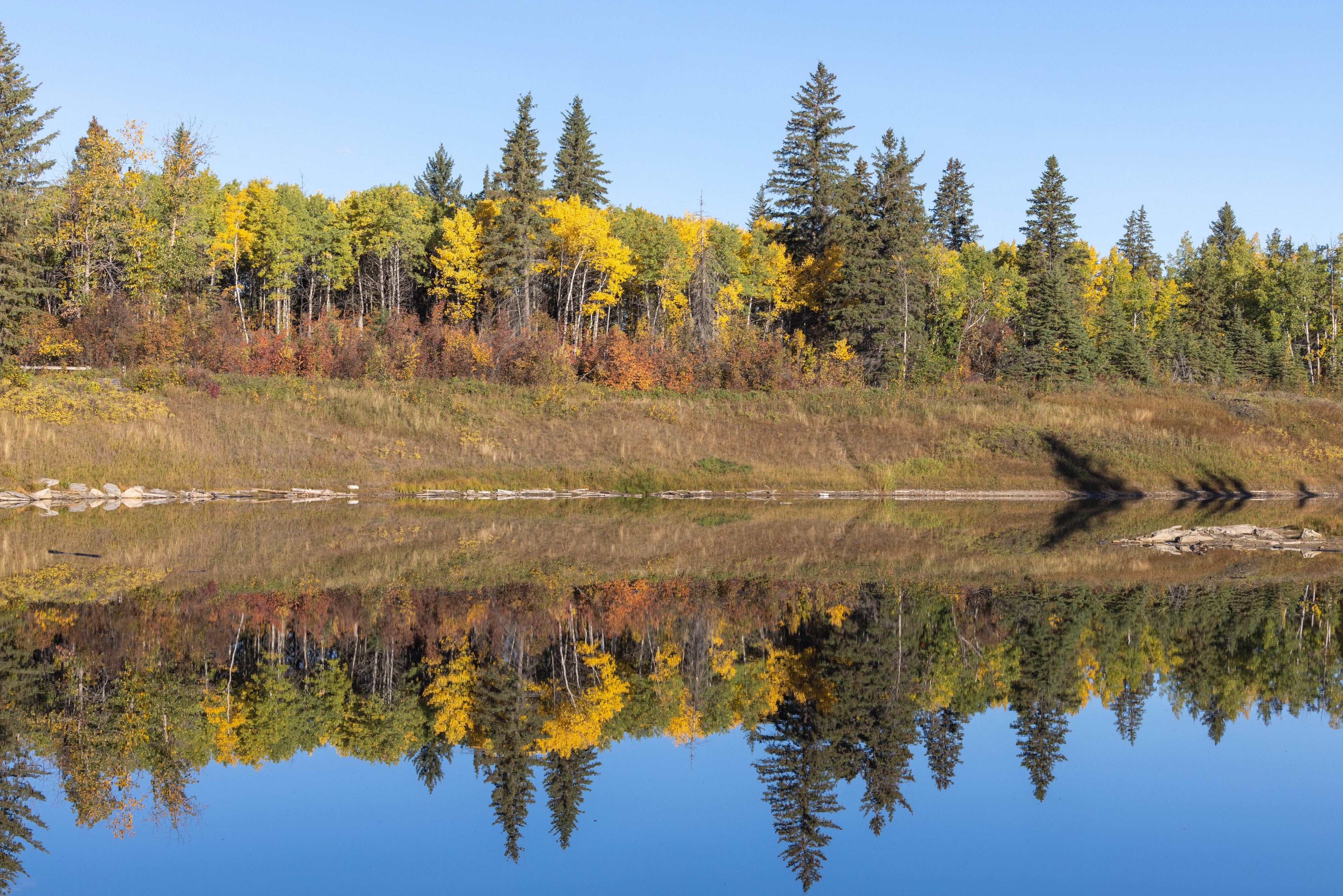 Fall Reflection 5.jpg