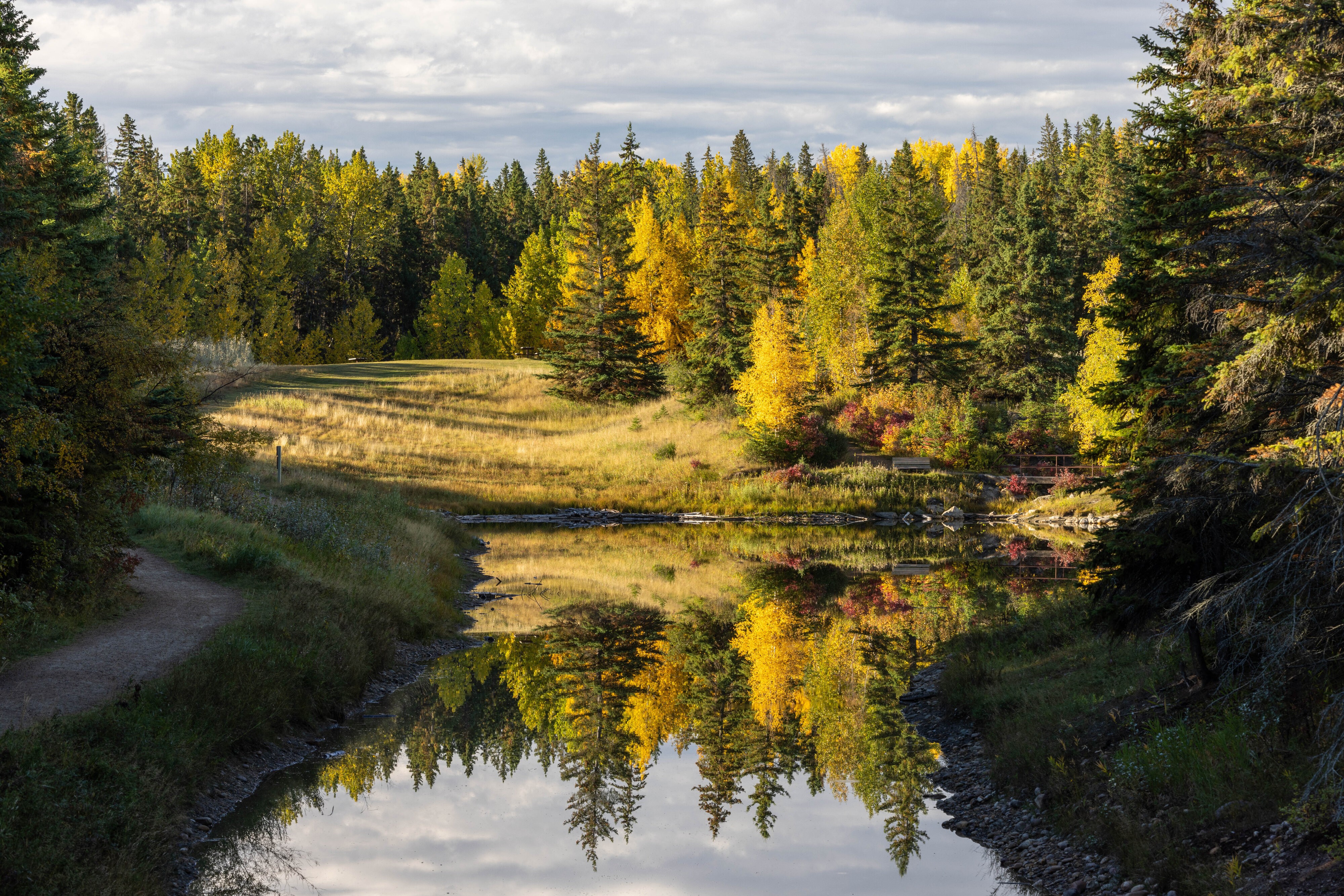 Fall Reflection 6.jpg