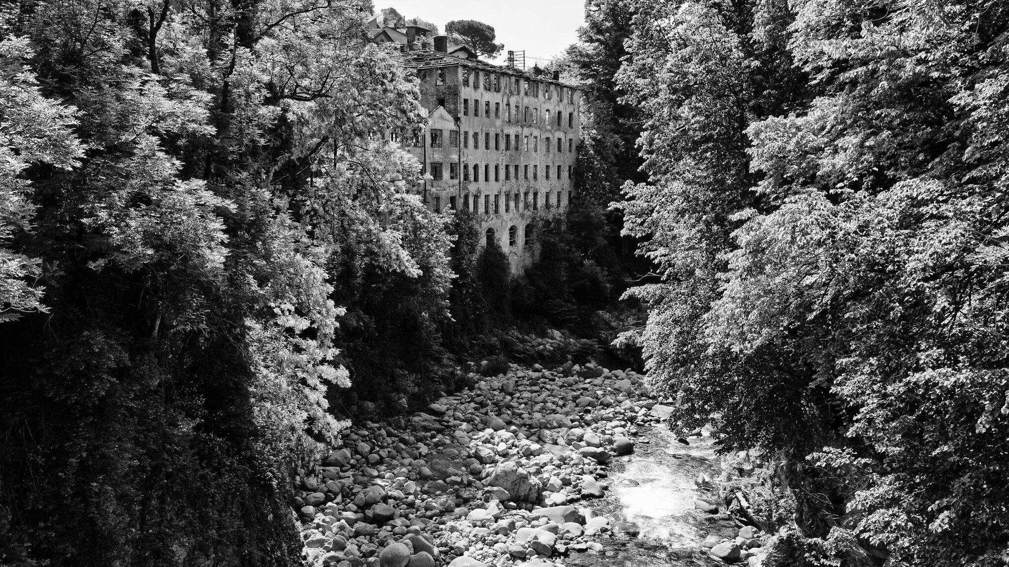 FB_MG_2978-DxO_DeepPRIME XD3-Edit-post.jpg