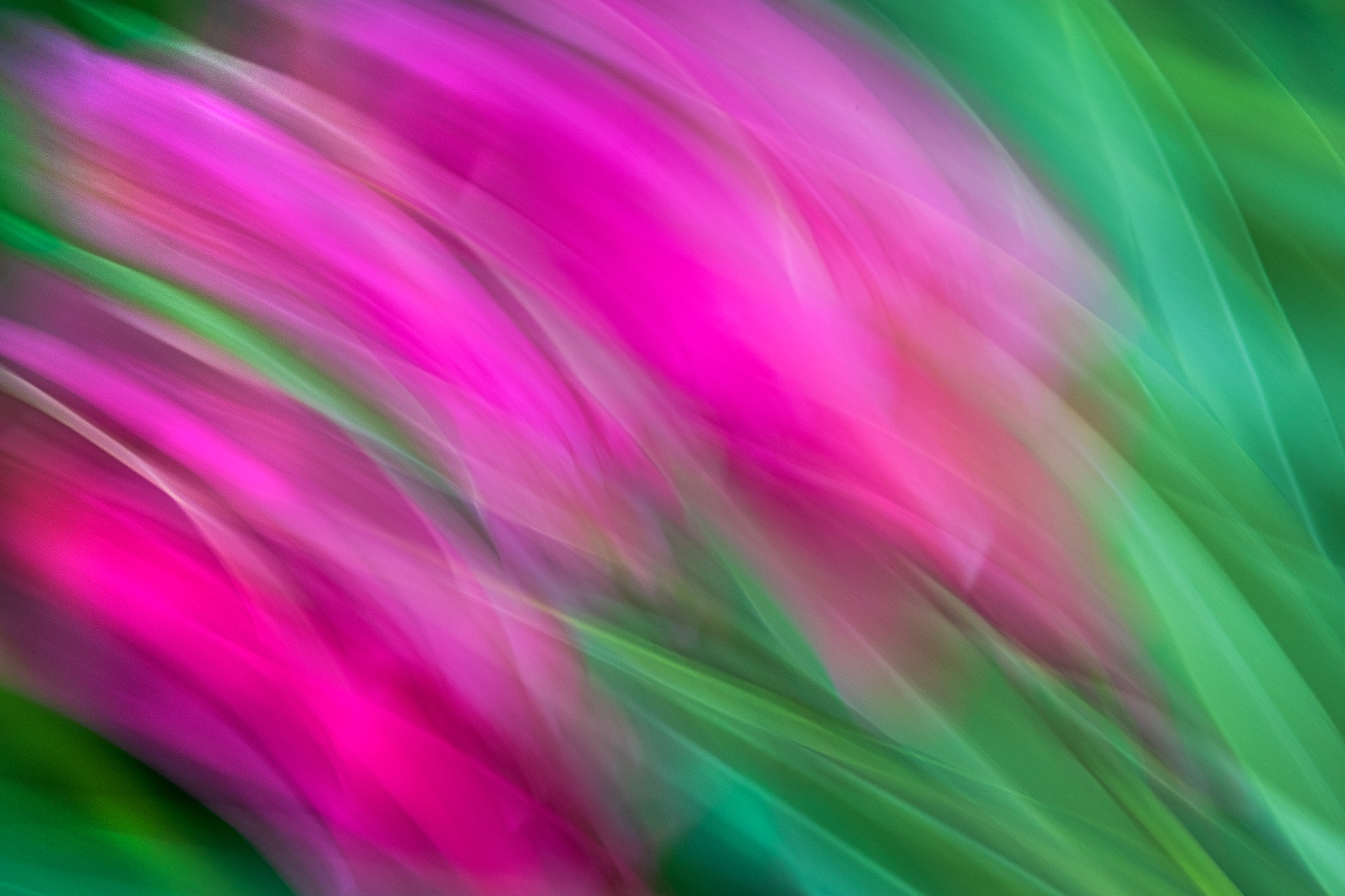 Fioreblur copiadati.jpg