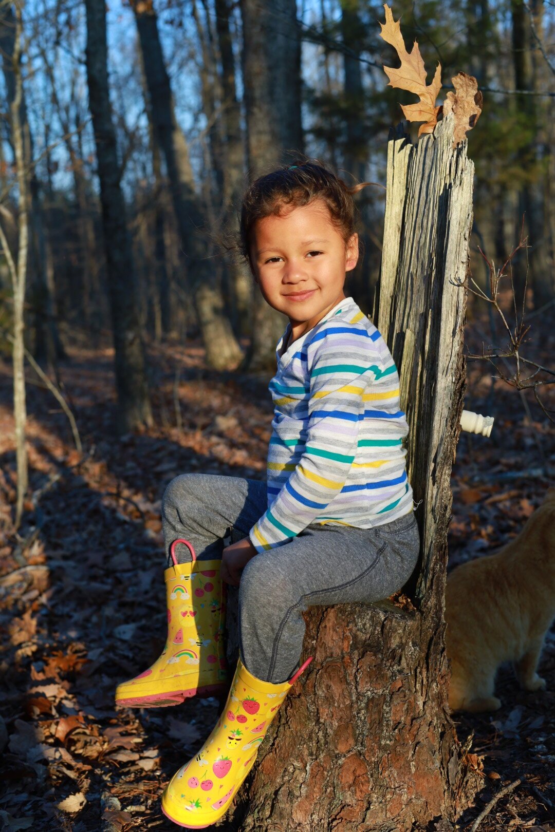 Forest Chair