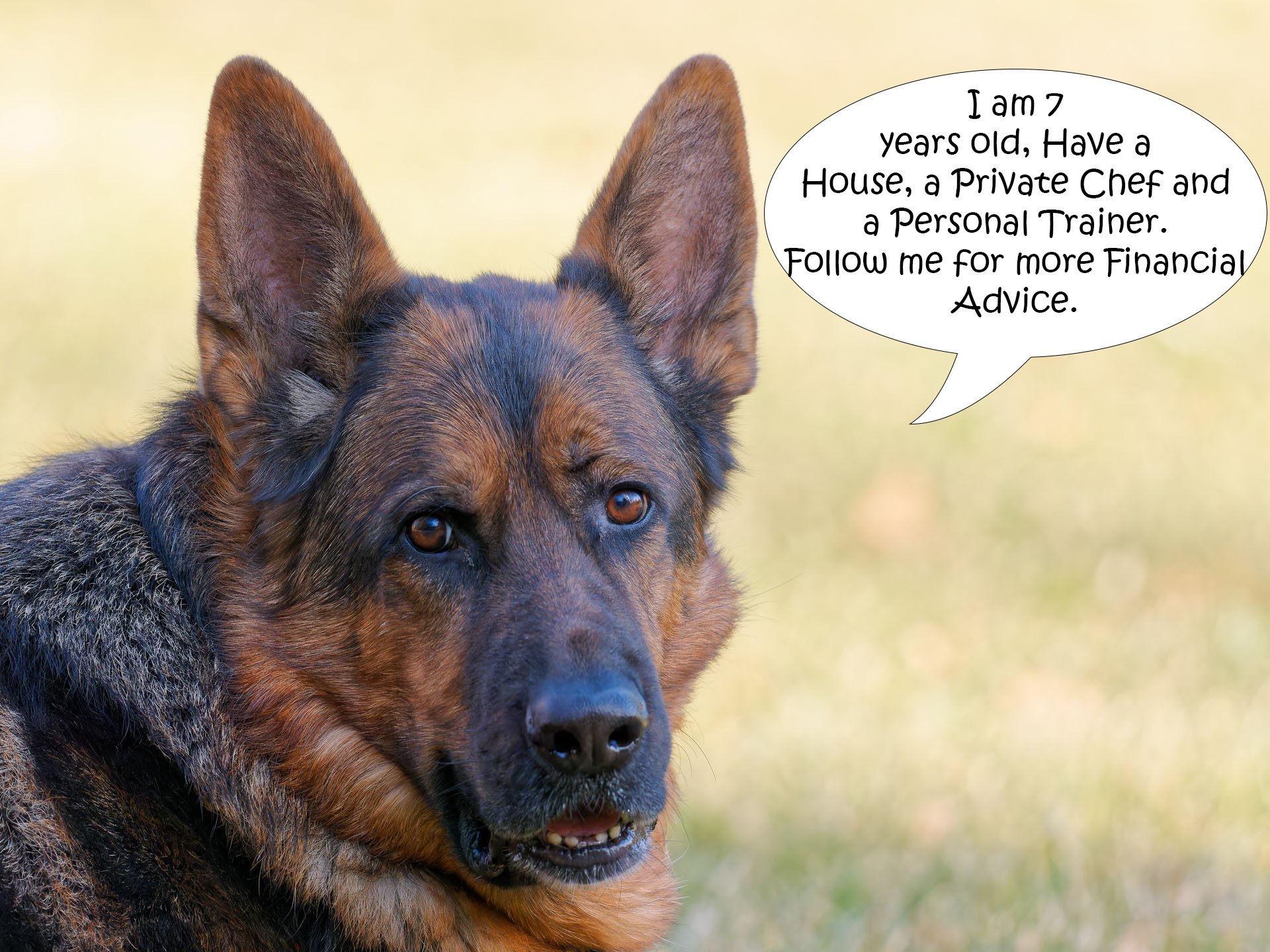 Fritz talk Financial.jpg