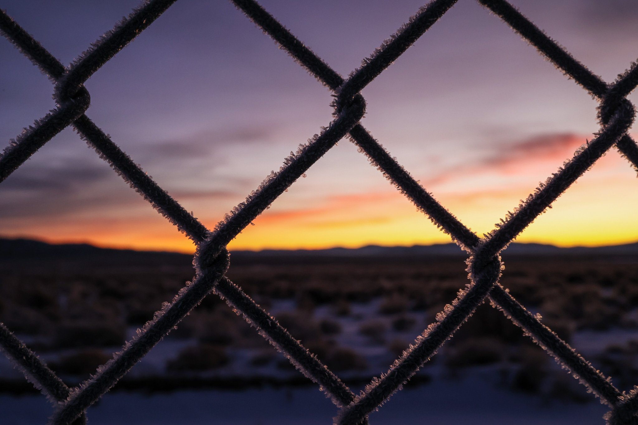 Frost on the Fence Line #2