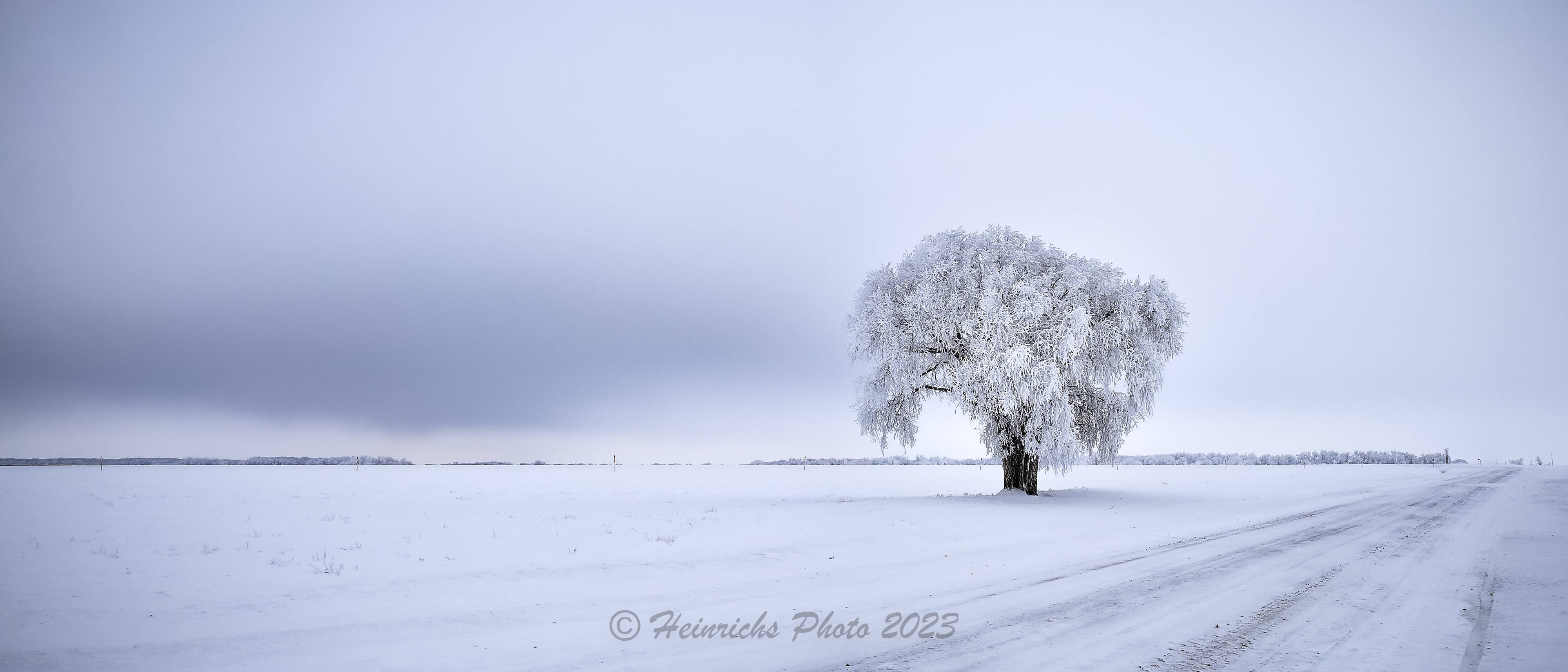 Frosty Trees-2302.jpg