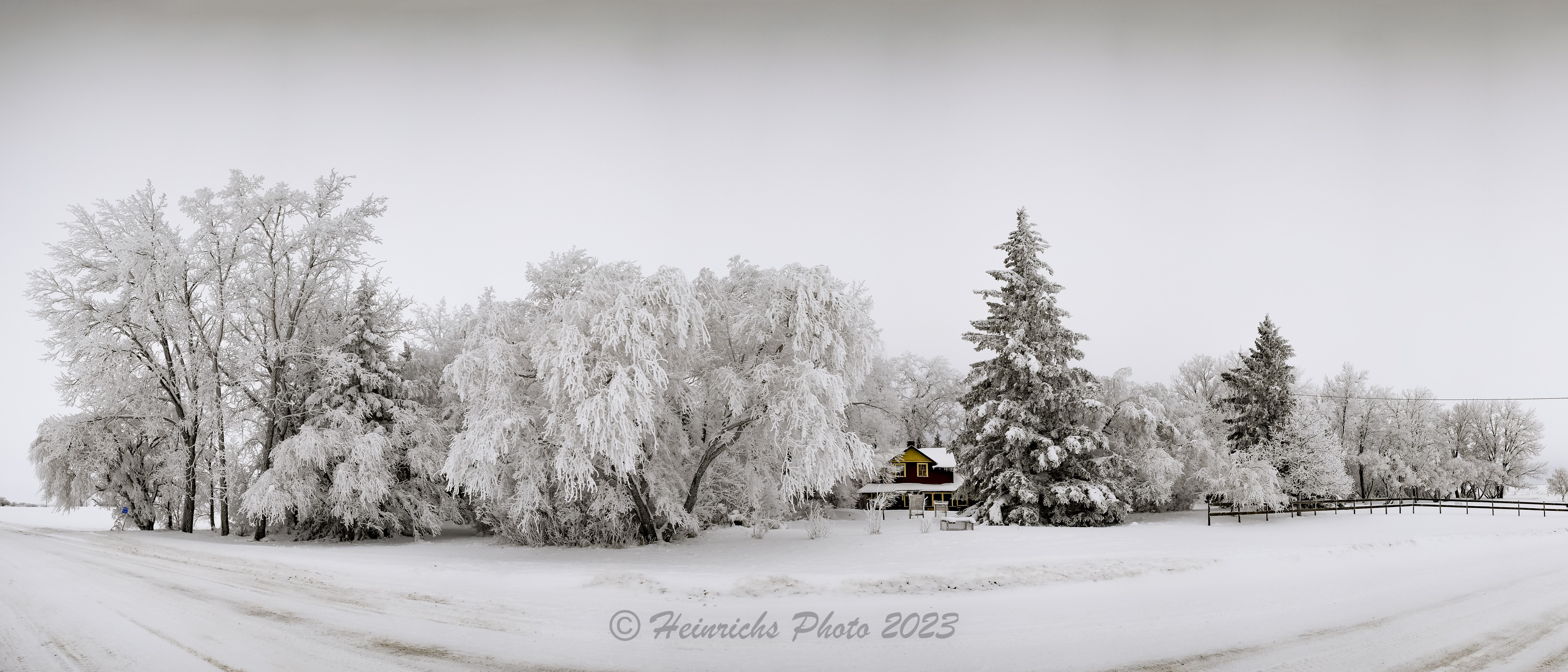 Frosty Trees-2304.jpg