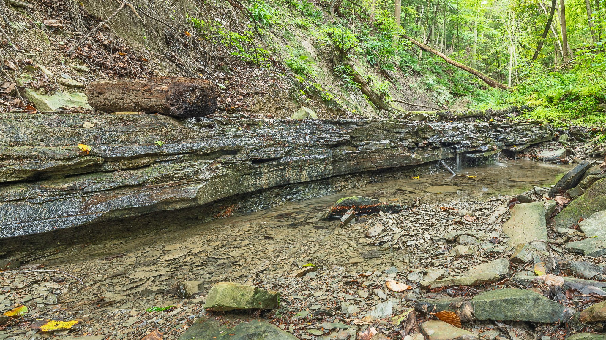 Hemlock Ravine Falls