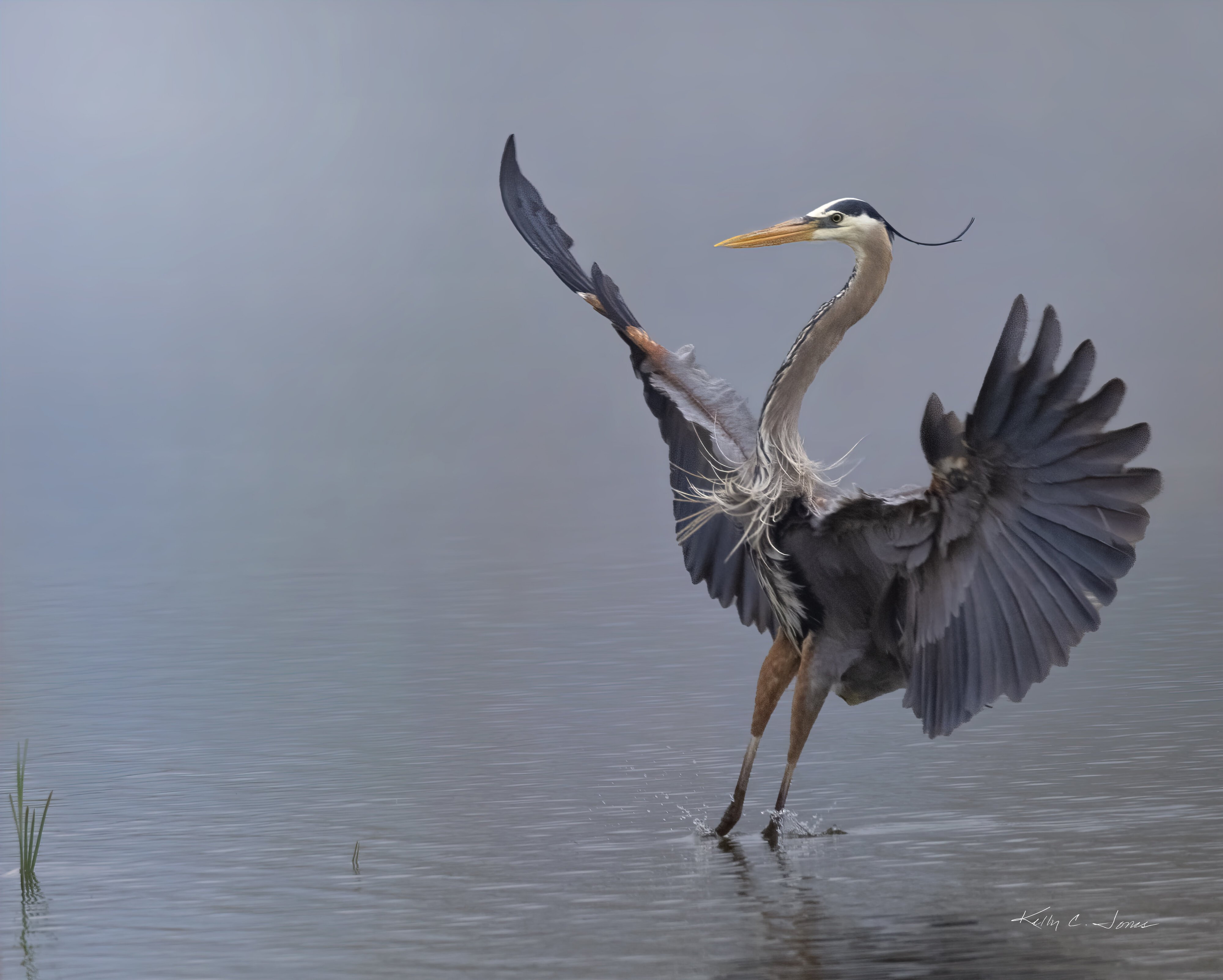 Heron Soft Landing