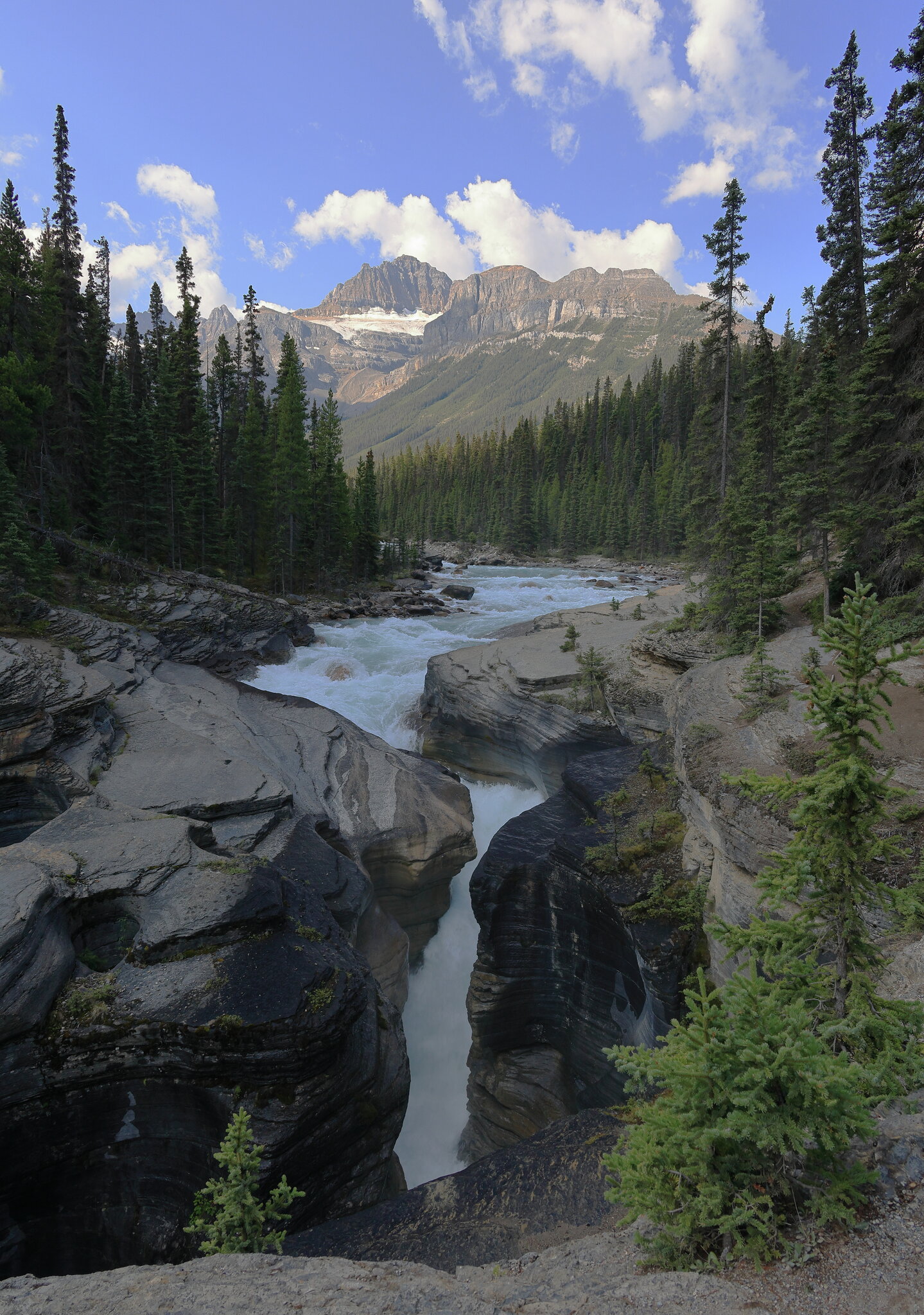 IMG_5824EOS R6m2.jpeg