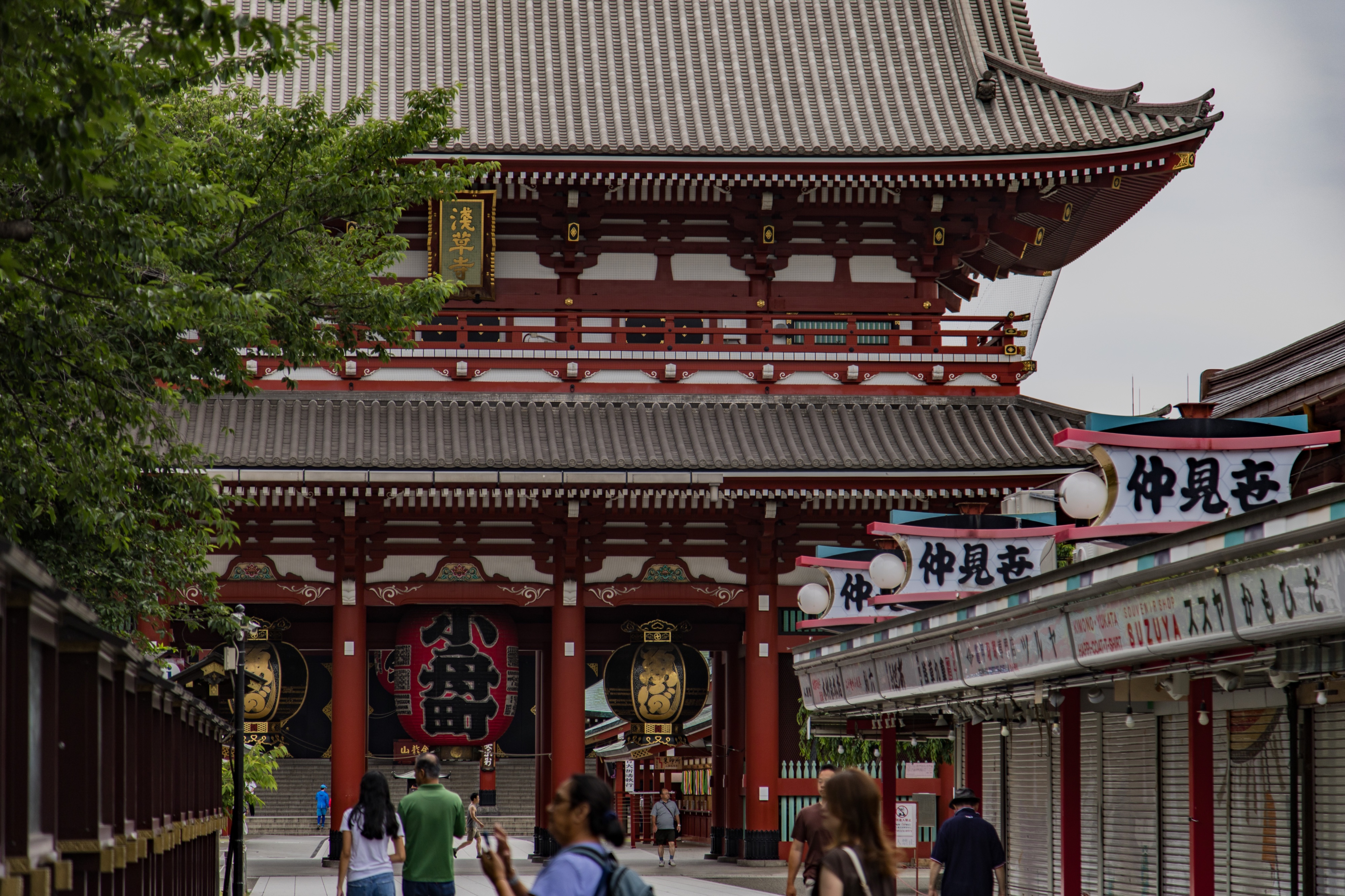 Japan 2025 - 0613 m0031.jpg