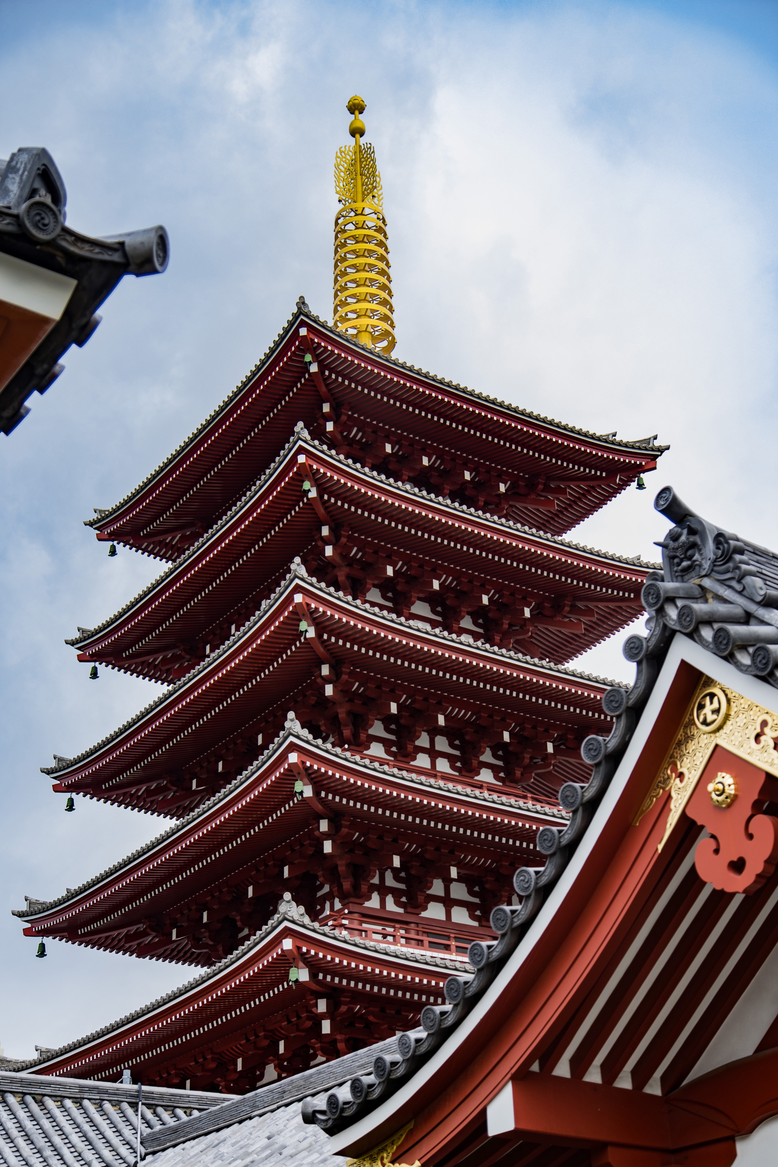 Japan 2025 - 0613 m0052.jpg