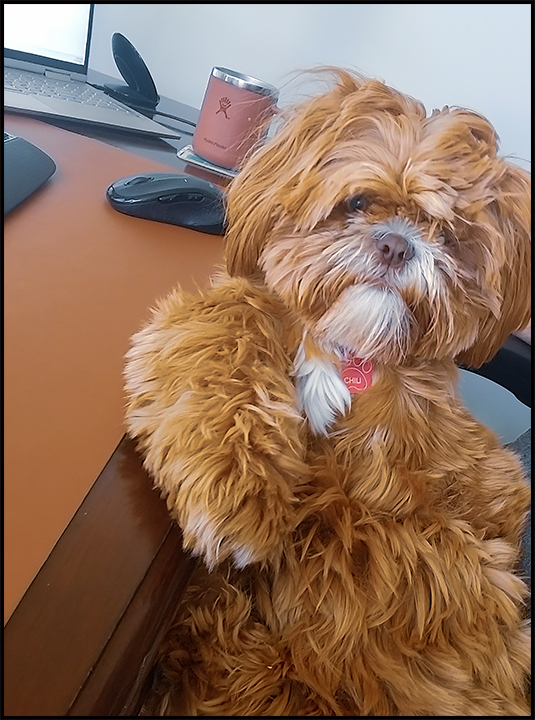 Kickin in the office.jpg