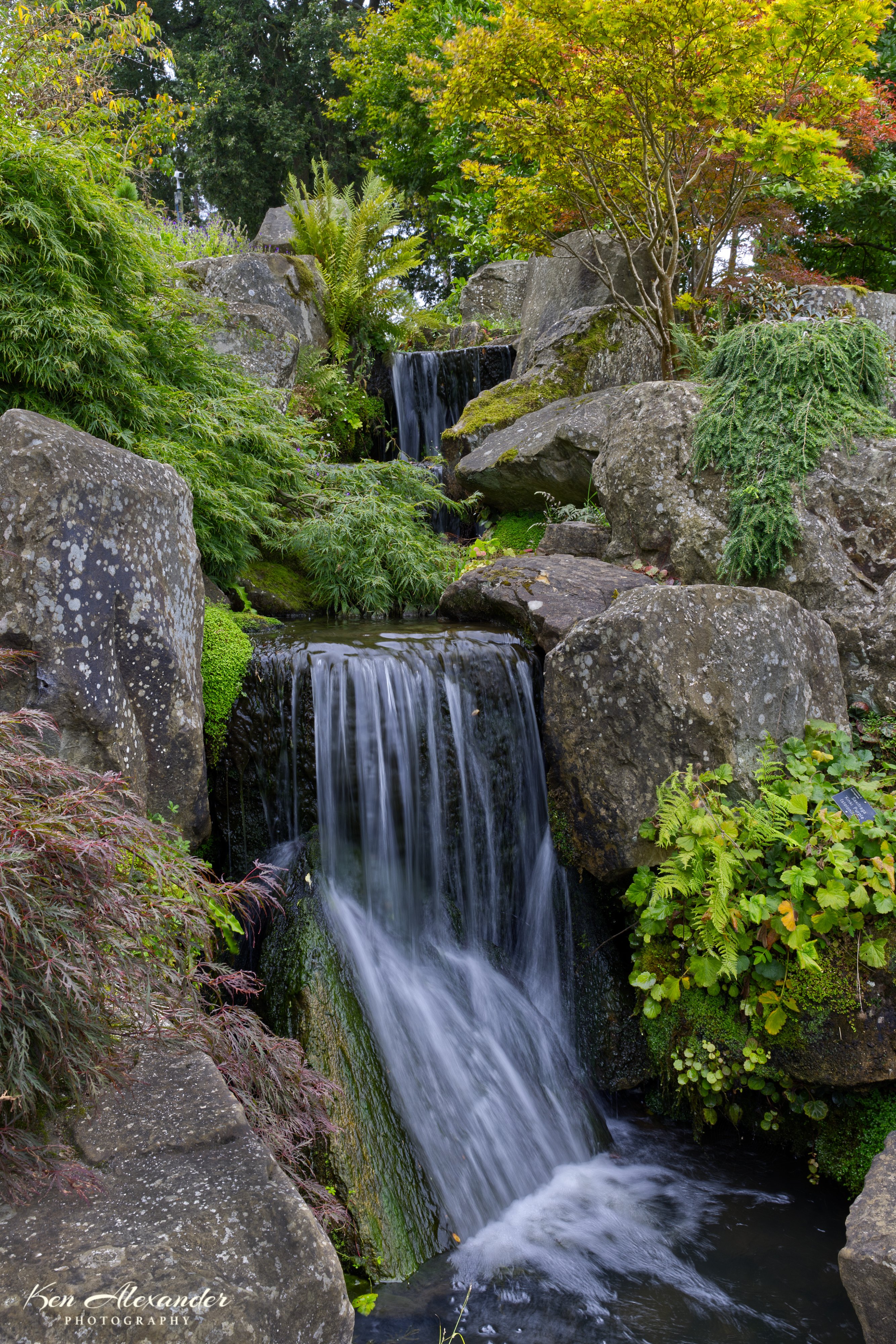 KR5_Wisley_Gardens_01_04-09-21.jpg