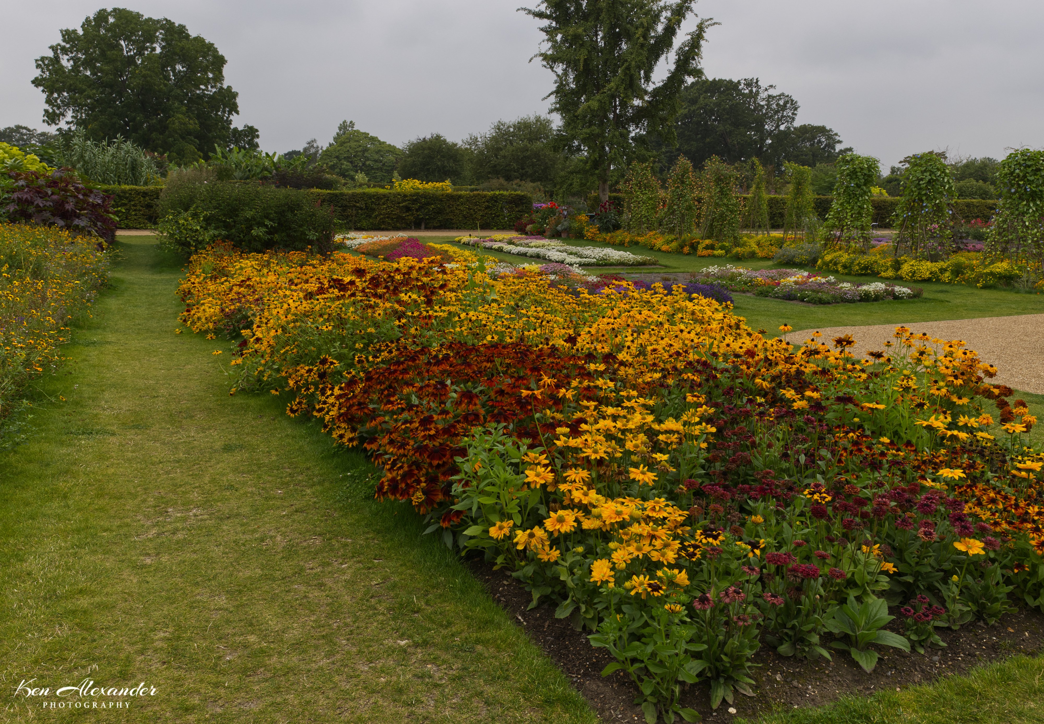 KR5_Wisley_Gardens_09_04-09-21.jpg