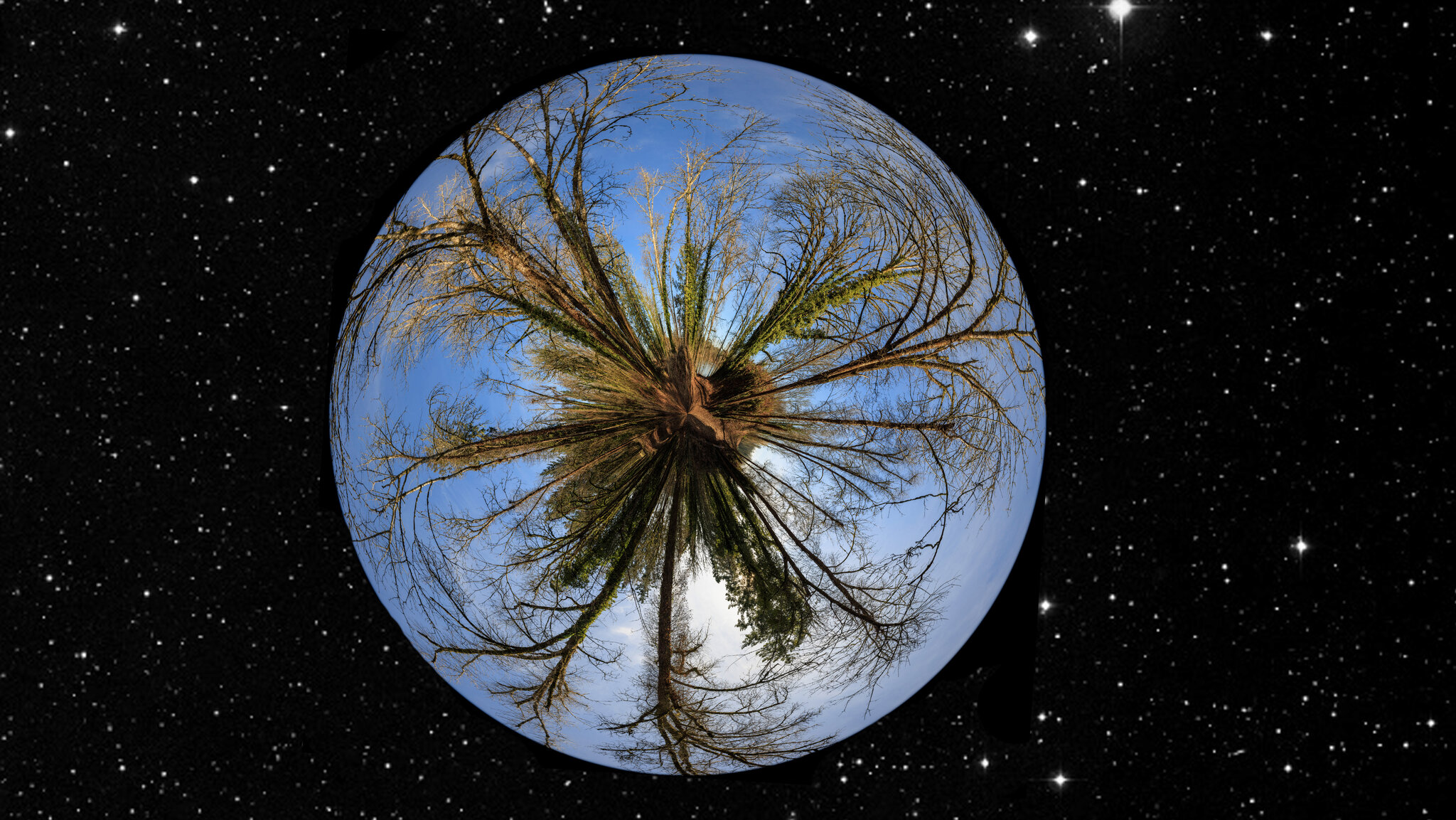 Landscape 2 copy-Edit.jpg