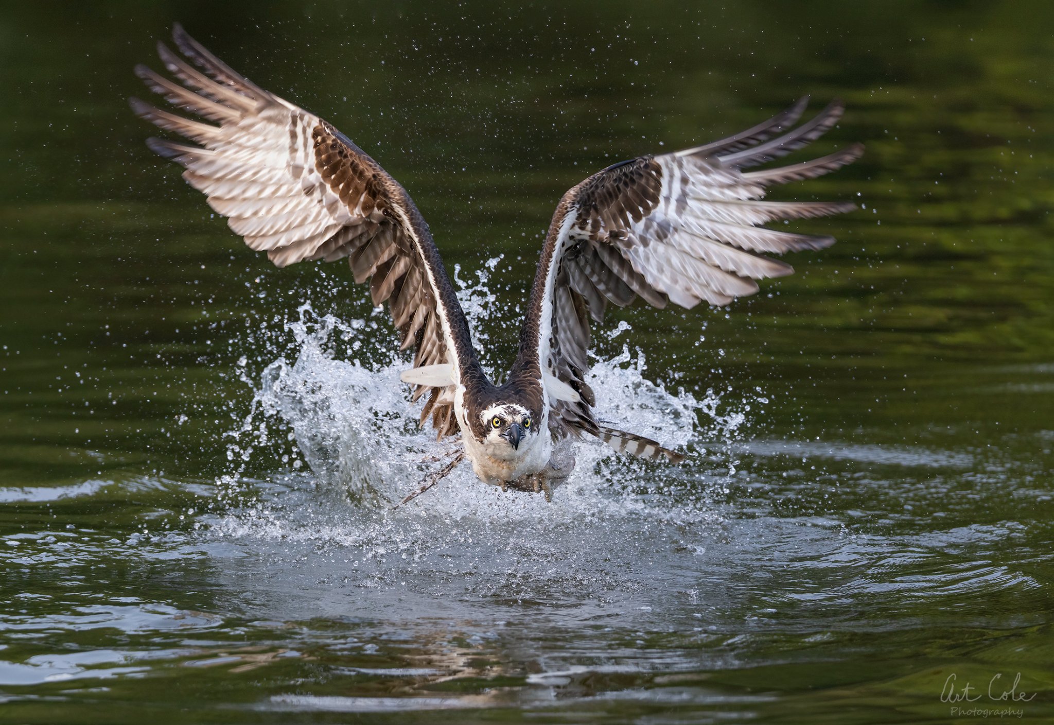 lowaltitudefishingCropSM.jpg