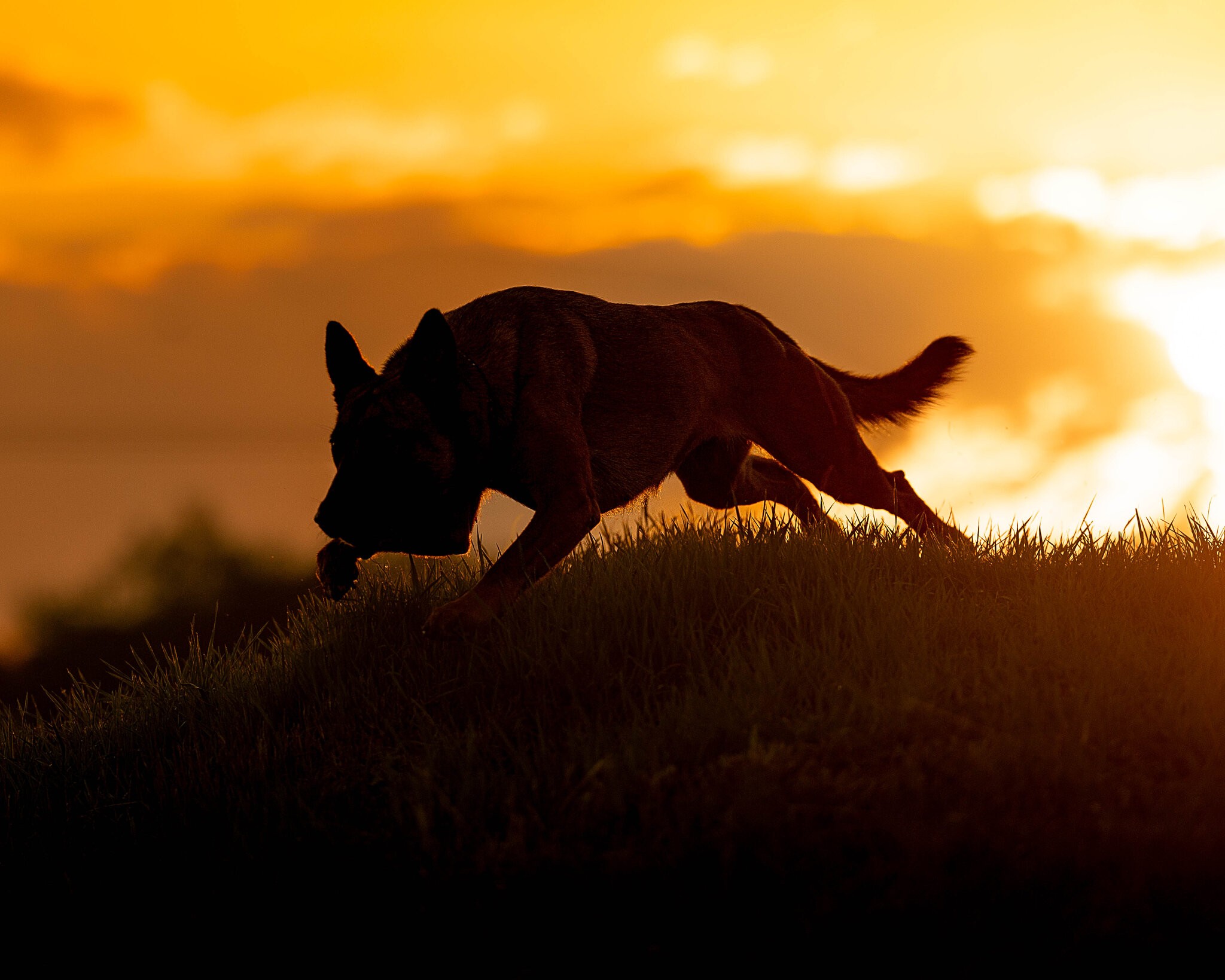 Mali sunset.jpg