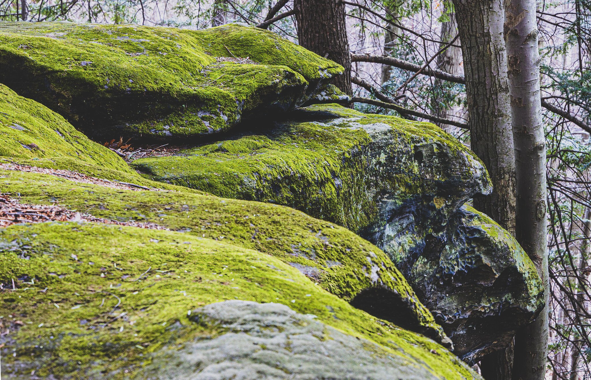 March 06, 2022_Ledges Outlook CVNP_010-HDR-Edit.jpg