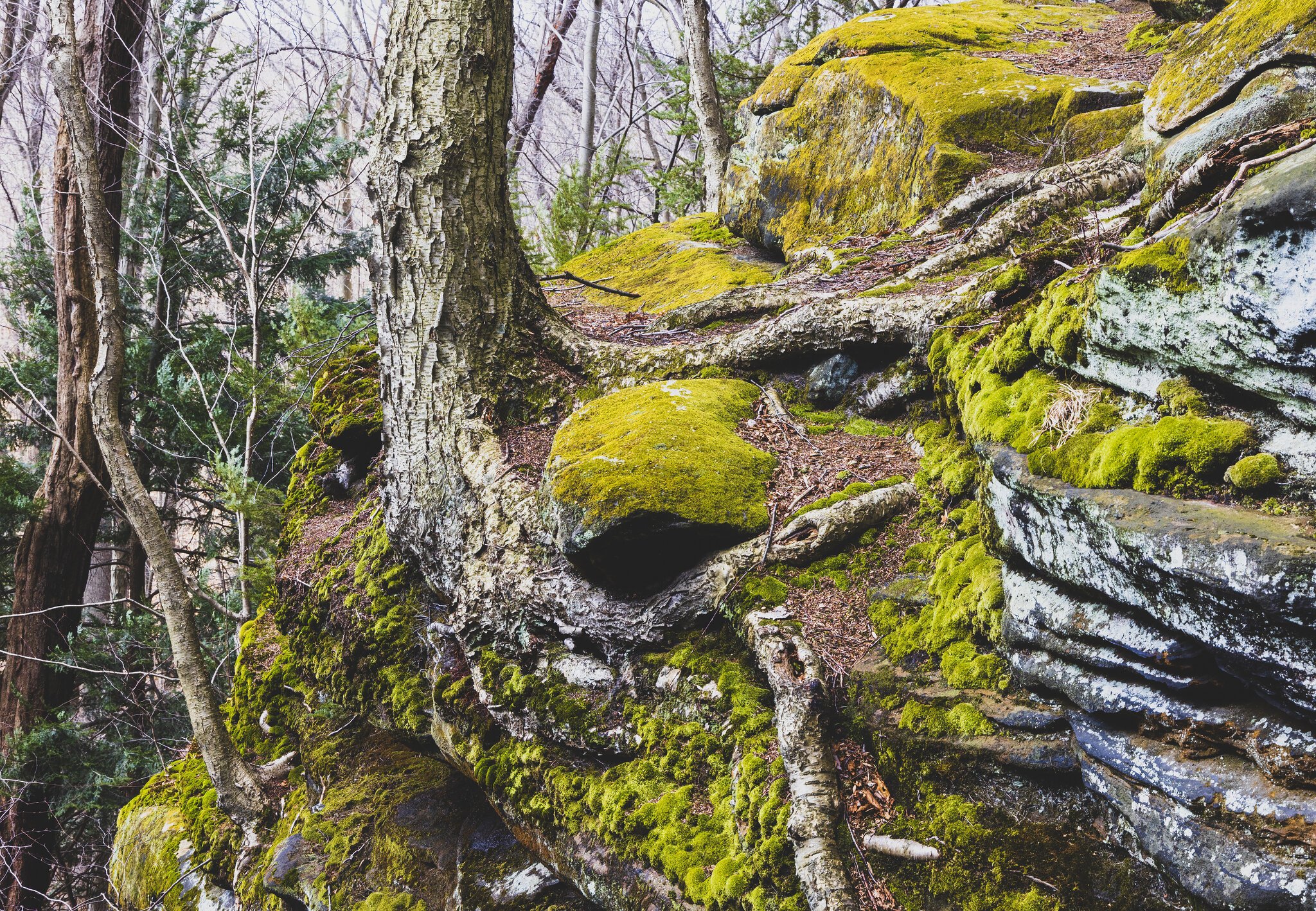 March 06, 2022_Ledges Outlook CVNP_030-Edit.jpg