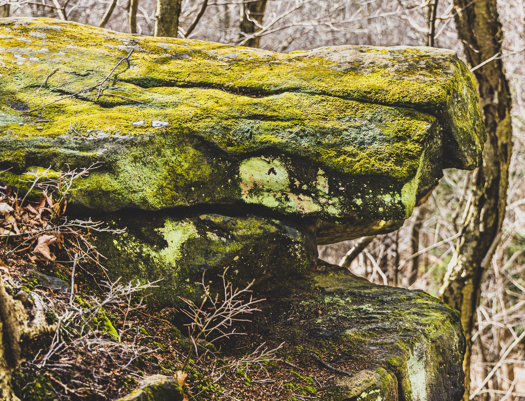 March 06, 2022_Ledges Outlook CVNP_043-HDR.jpg