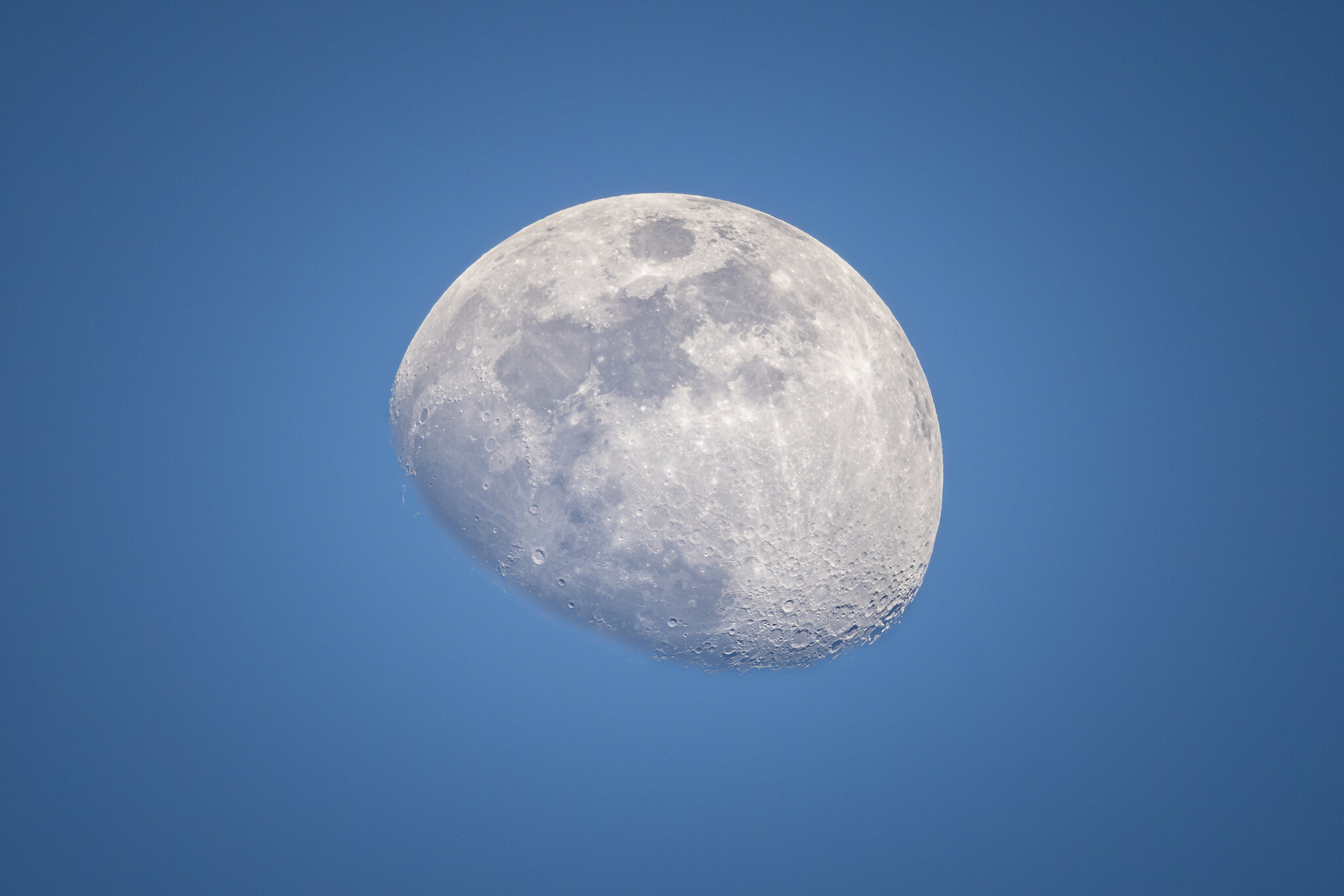 Morning Moon.jpg | Canon RF Shooters Forums