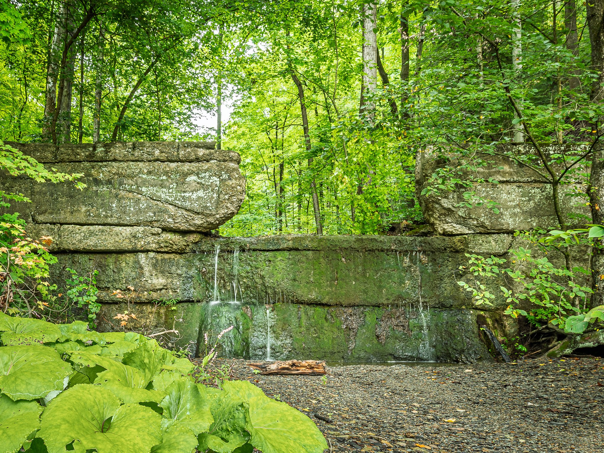 Mudcatcher Falls