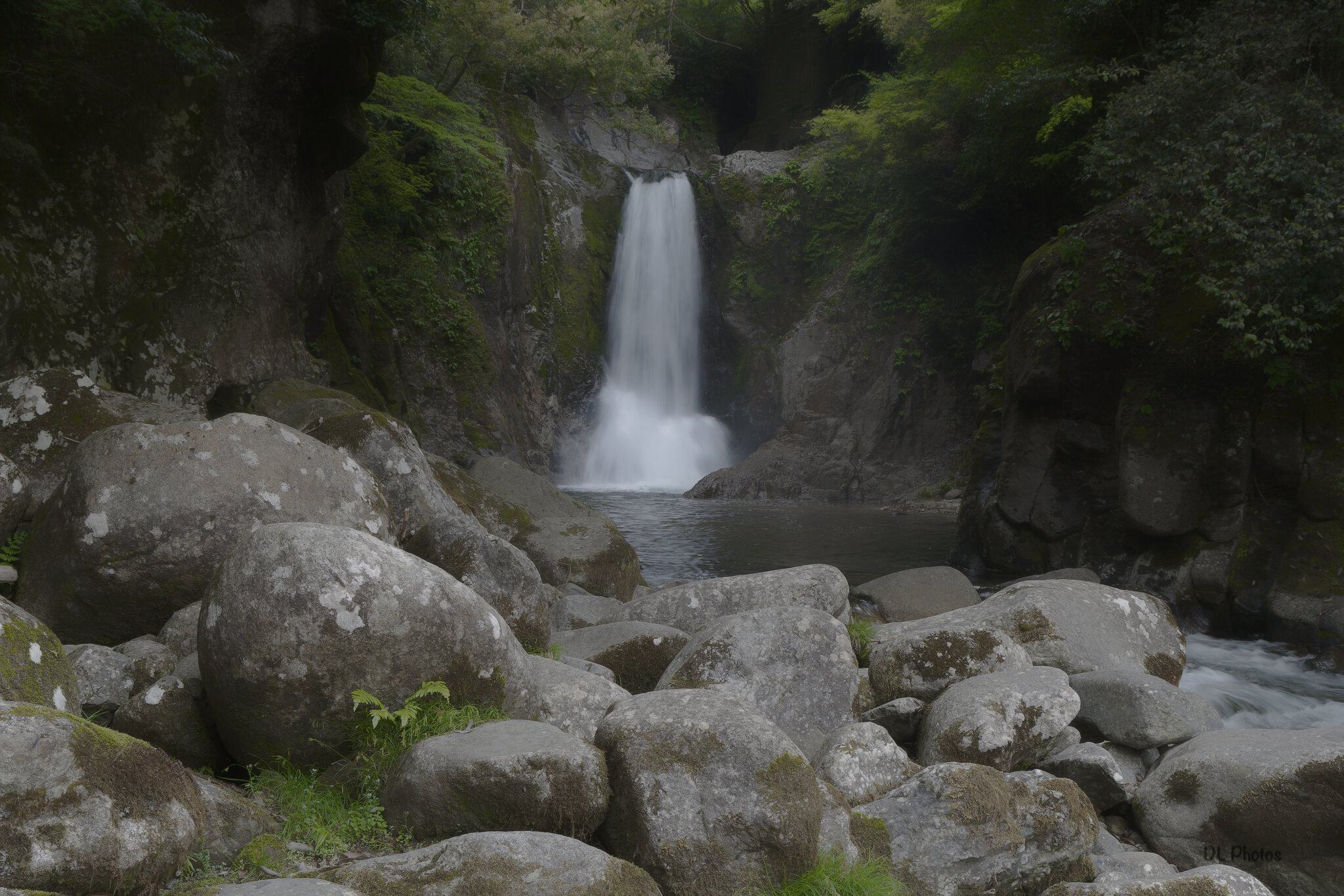 narusawa.jpg Canon RFShooters Forums