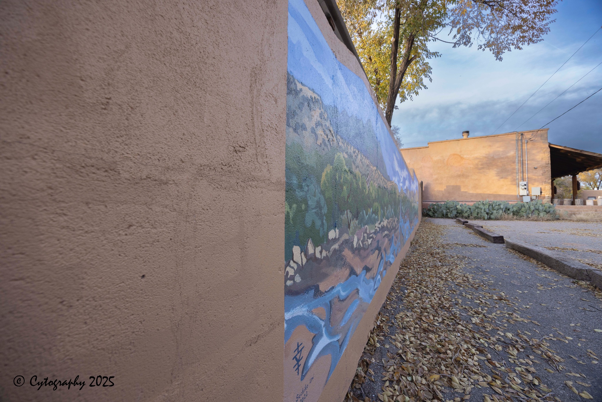 North 14 with 14mm-cytog-November 08, 2025-0014.jpg