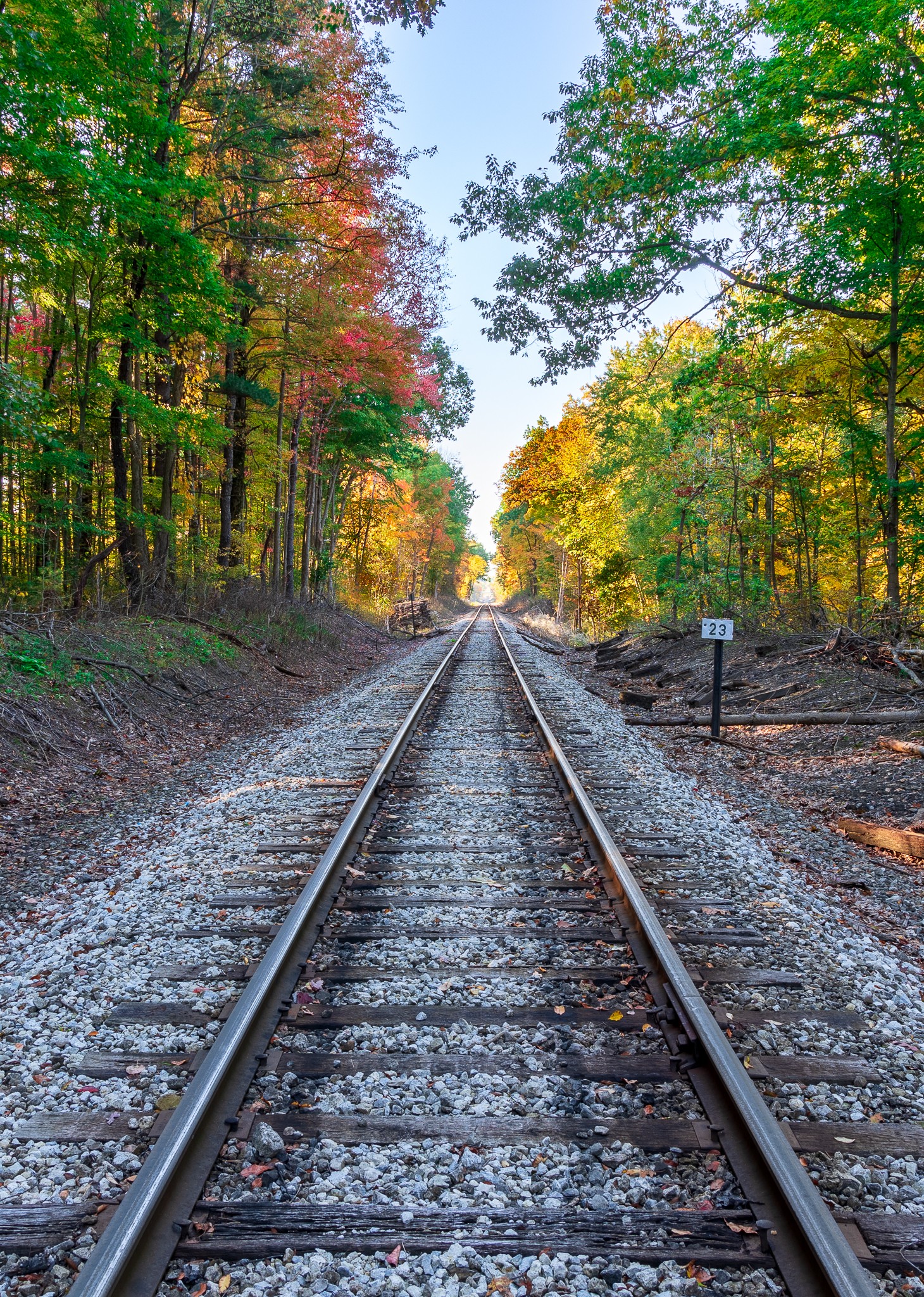 October 09, 2022_Tinkers Creek Fall_8727-HDR.jpg