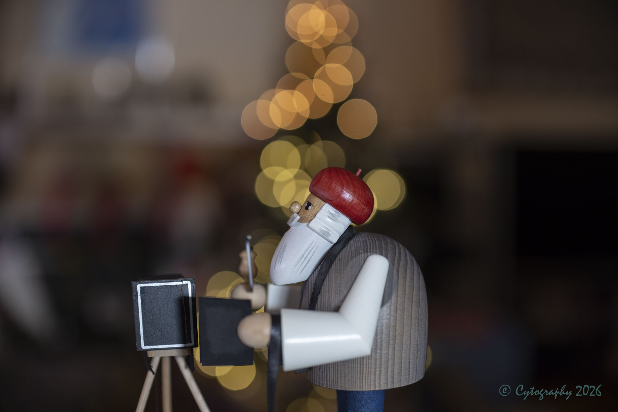 photog figure f1.2-0007.jpg