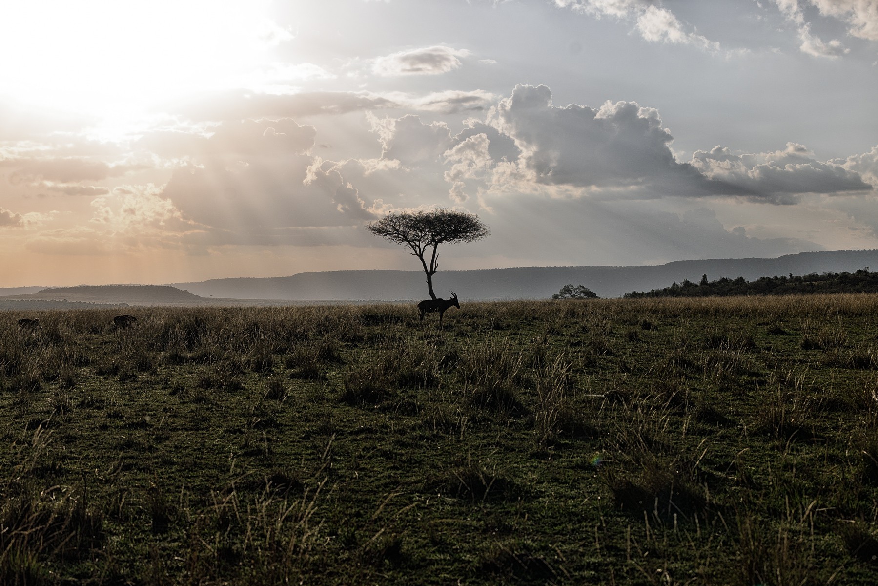 Rain on the Plain.jpg