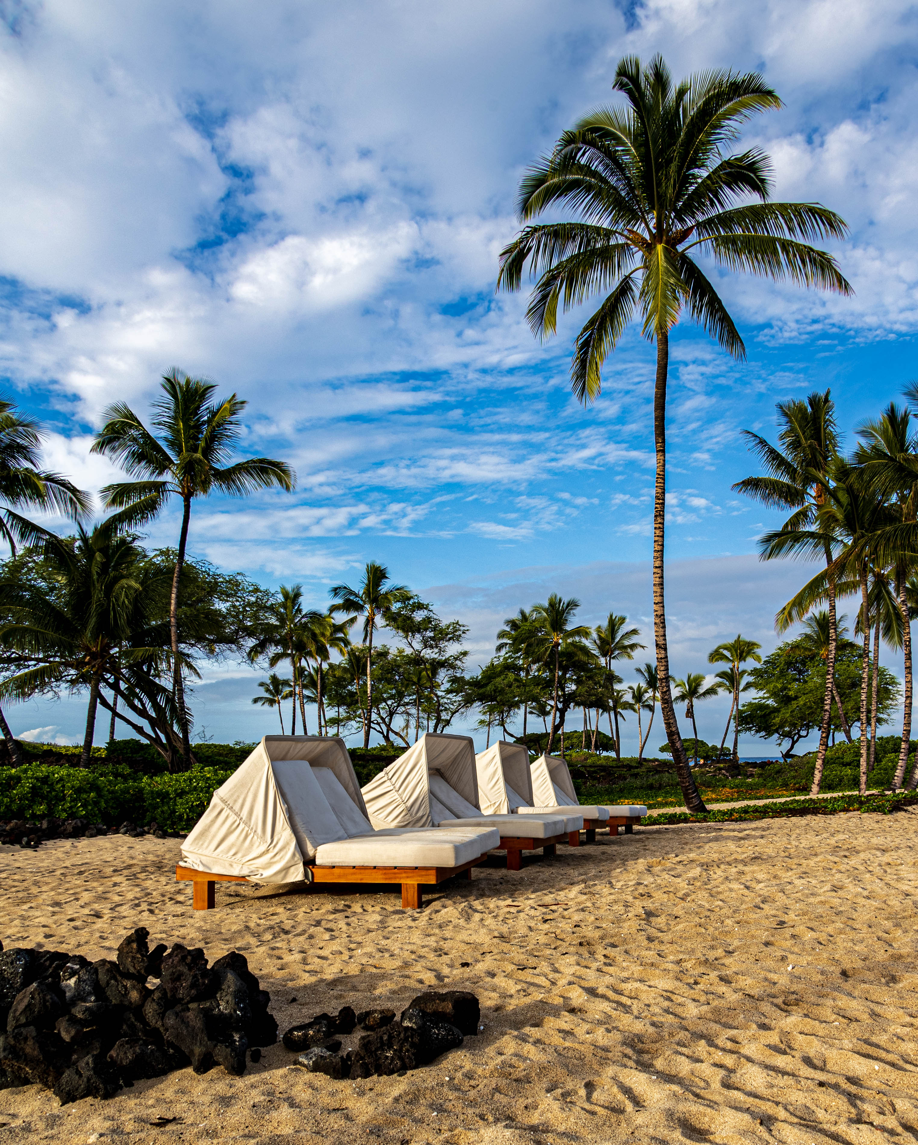Relaxing In The Sun | Canon RF Shooters Forums