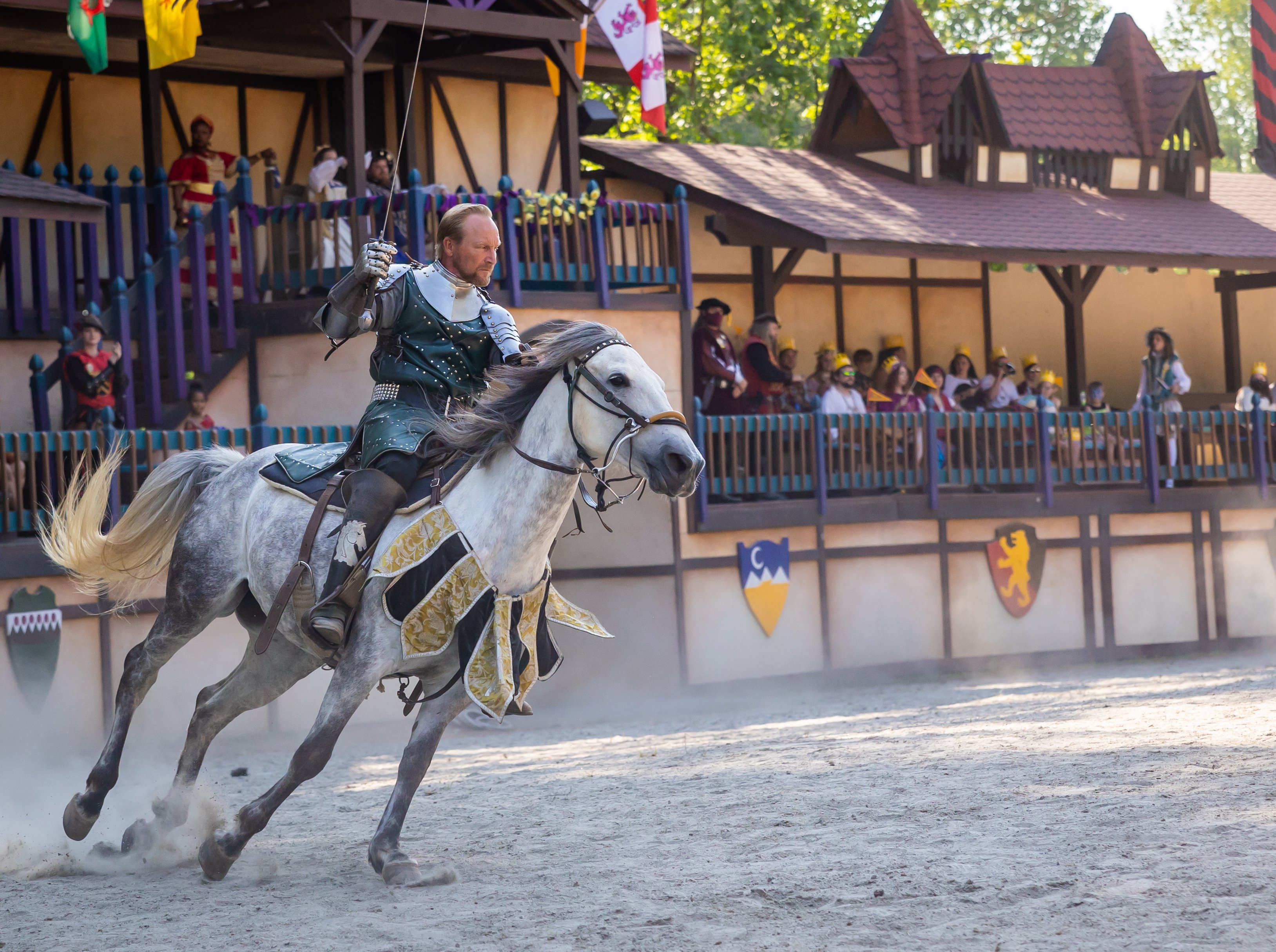 RenFest-7.jpg