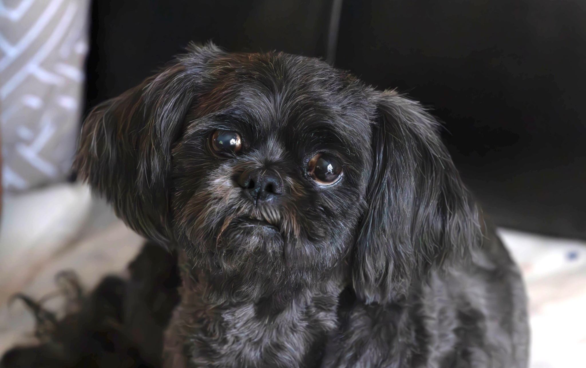 Sami (09-10-24).jpeg