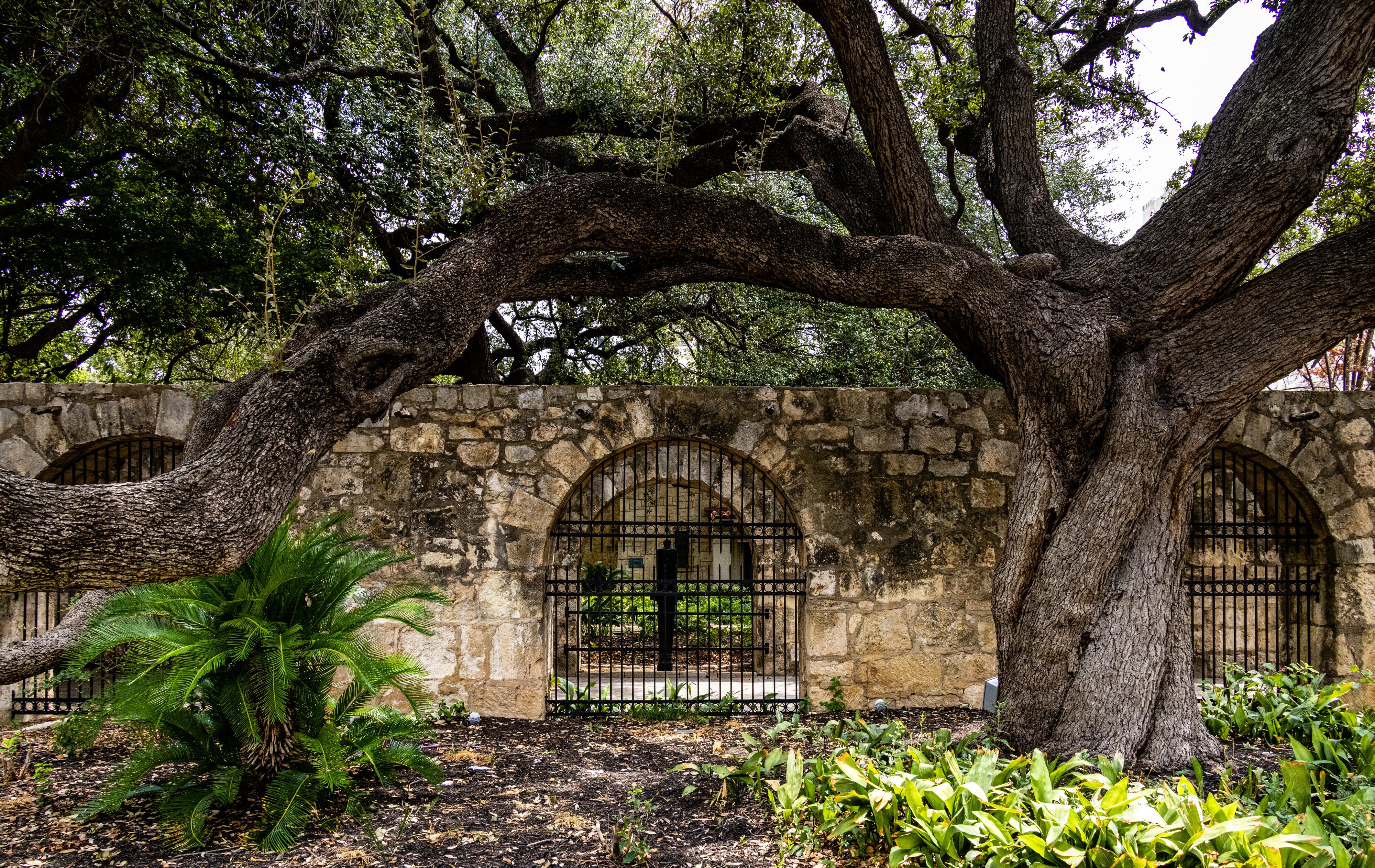 San Antonio Missions