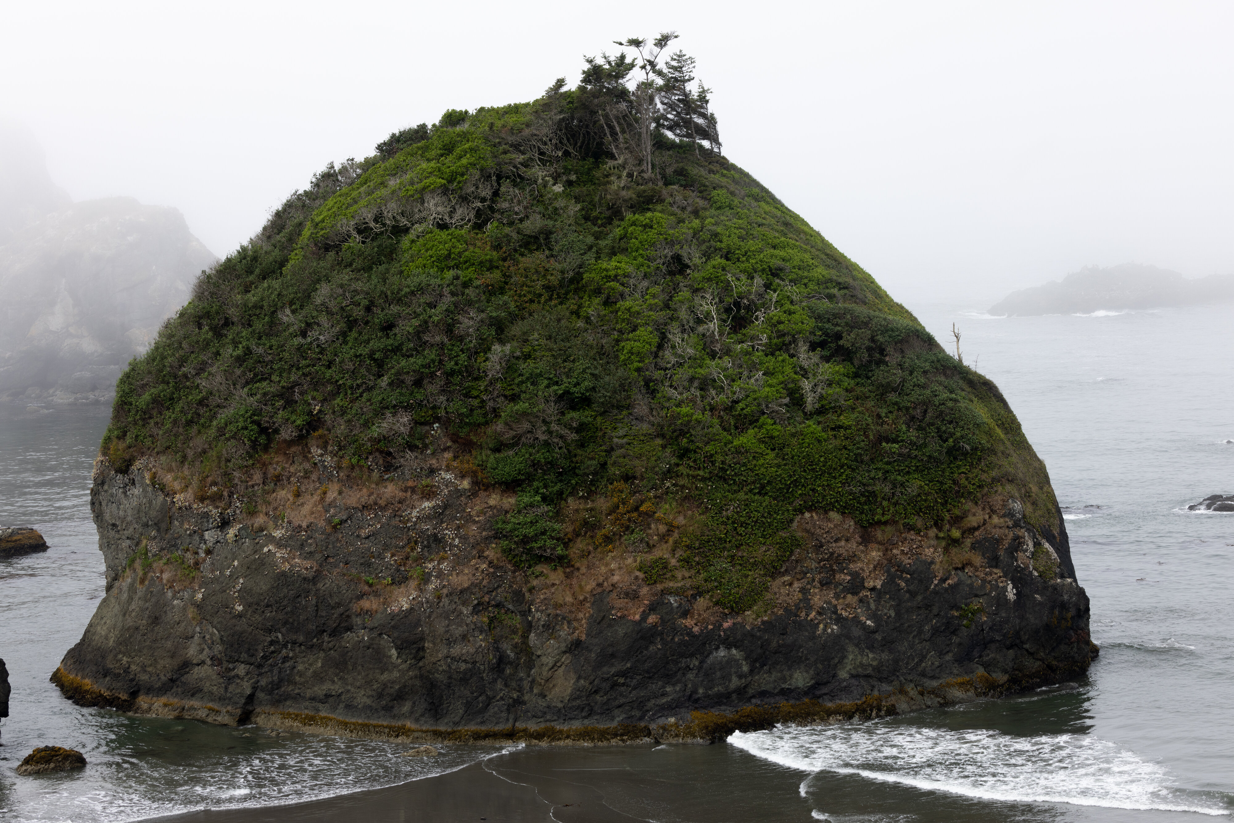 Seastack | Canon RF Shooters Forums