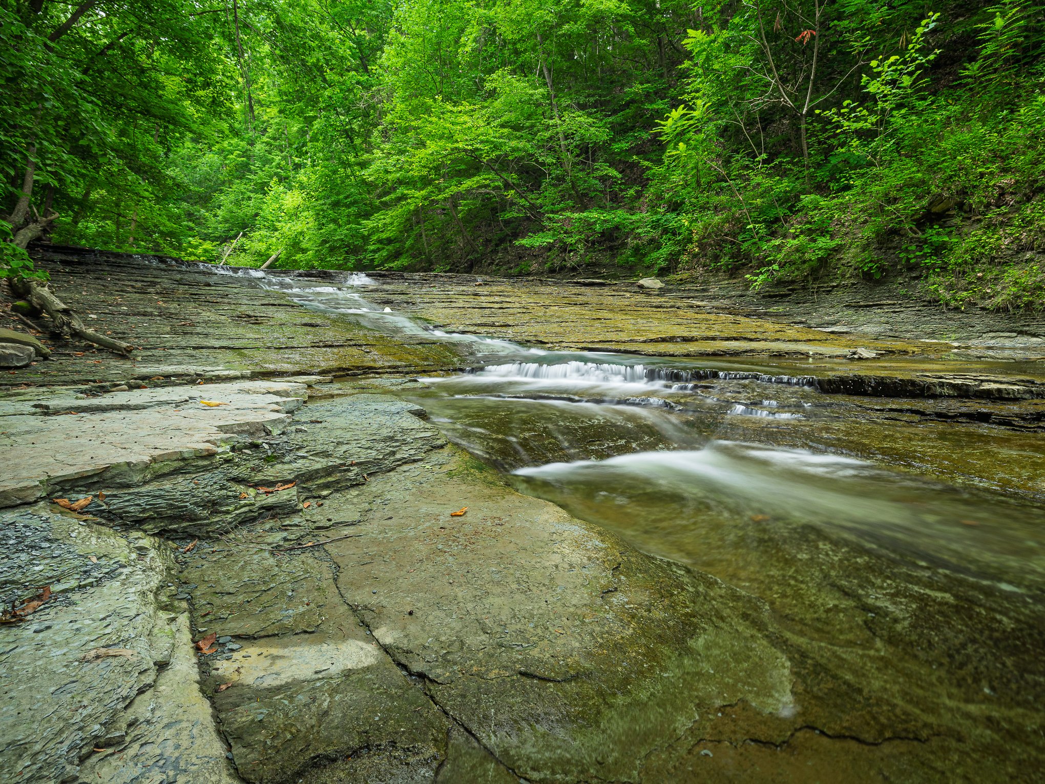 Shredder Falls