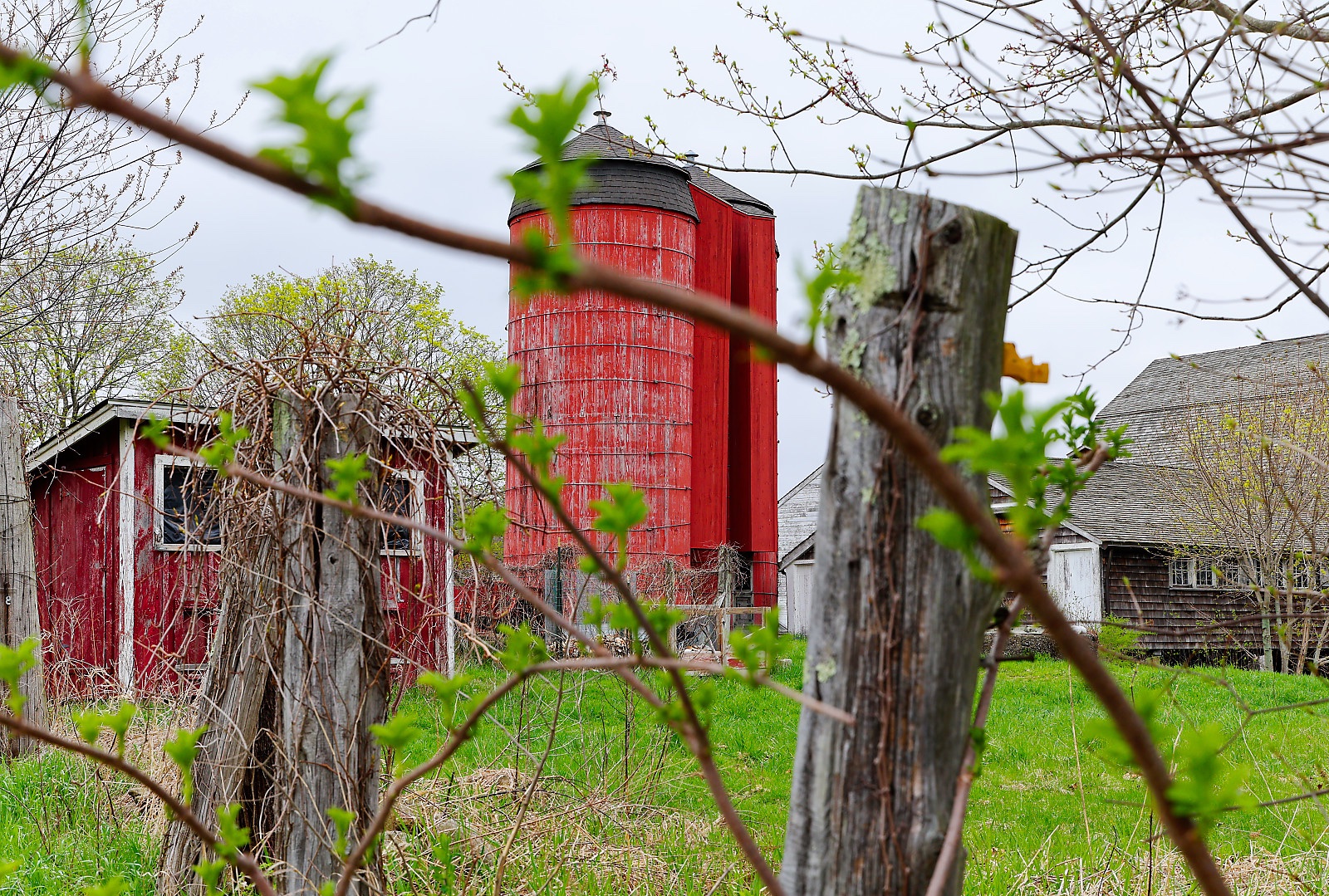 Snake Den Farm on Brown Ave, Johnston, RI.