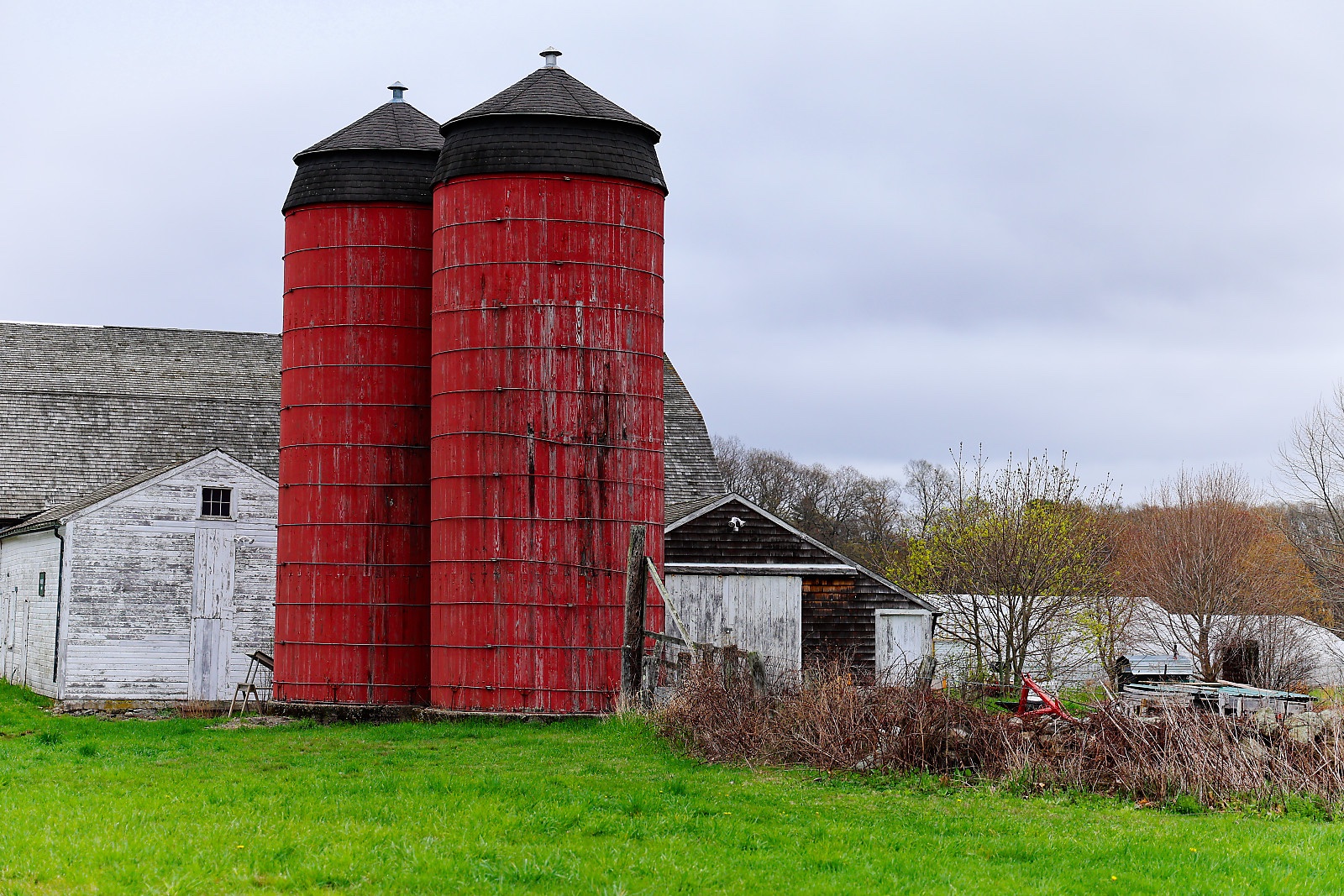 Snake Den Farm on Brown Ave, Johnston, RI.