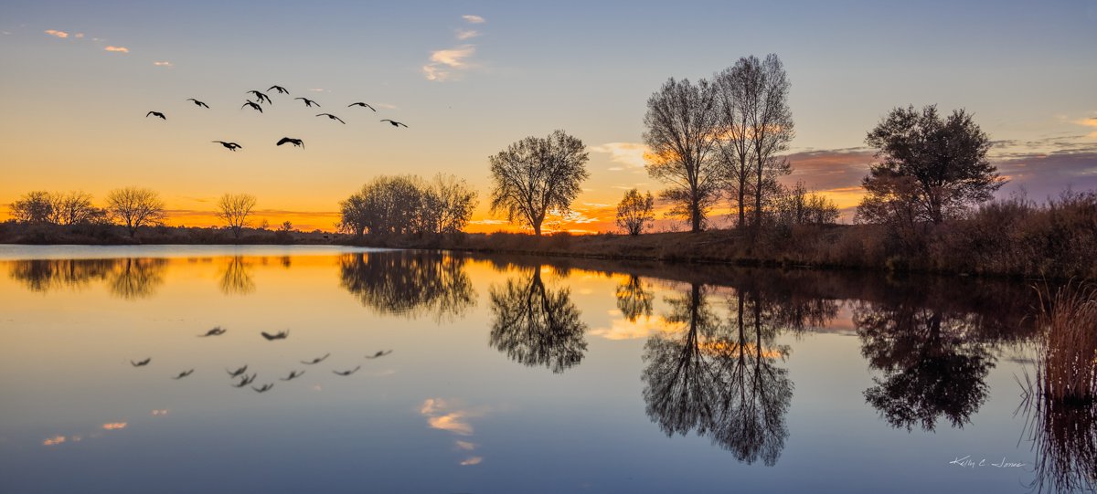 Sunrise at the Pond