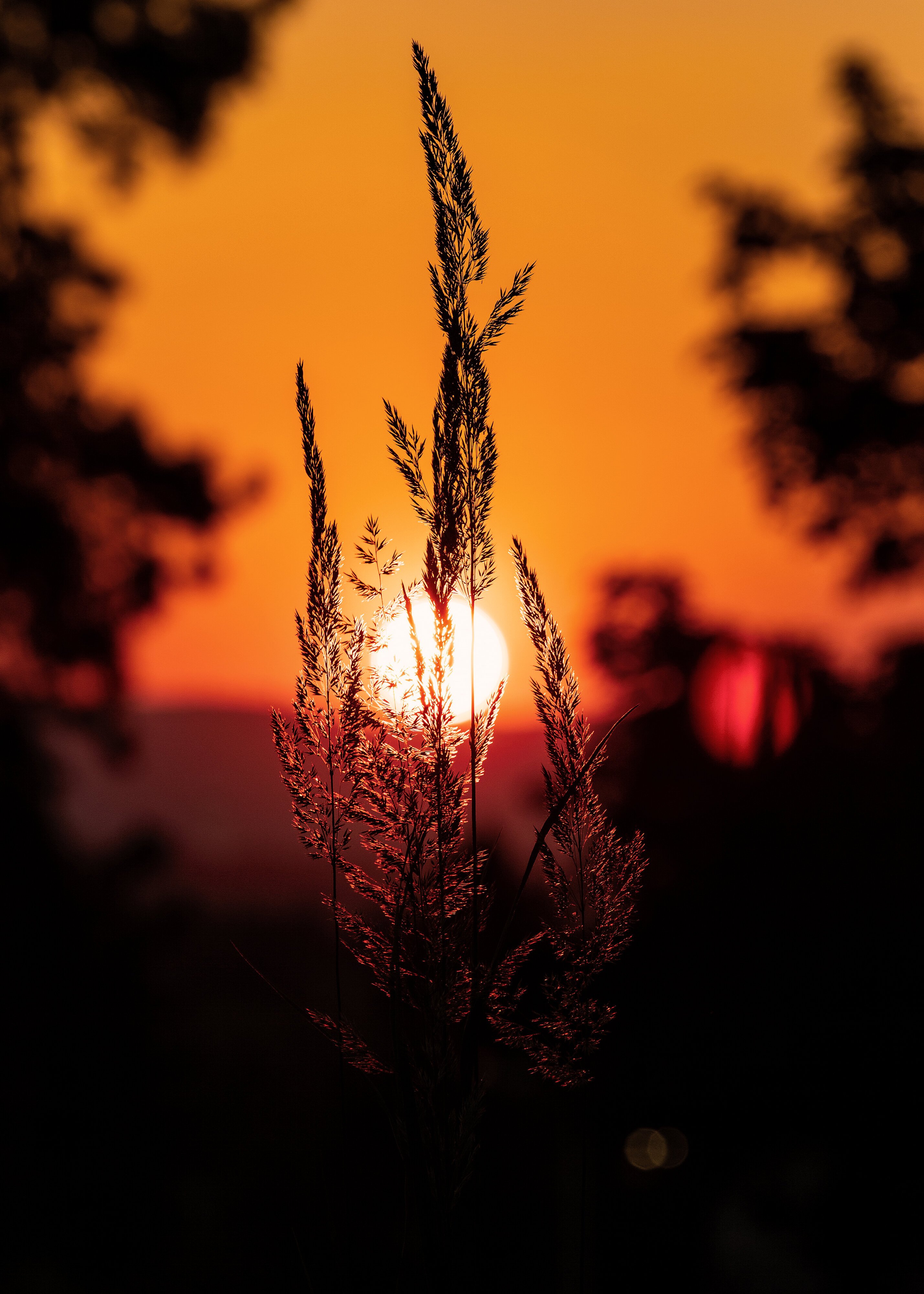 Sunset from my driveway