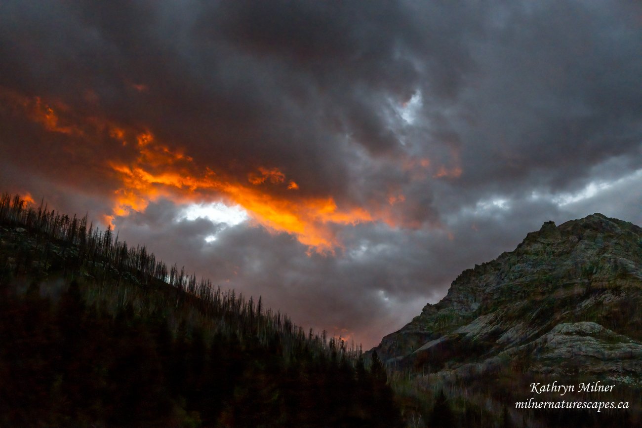 Sunset in Waterton National Park - 4 years after forest fire.jpg