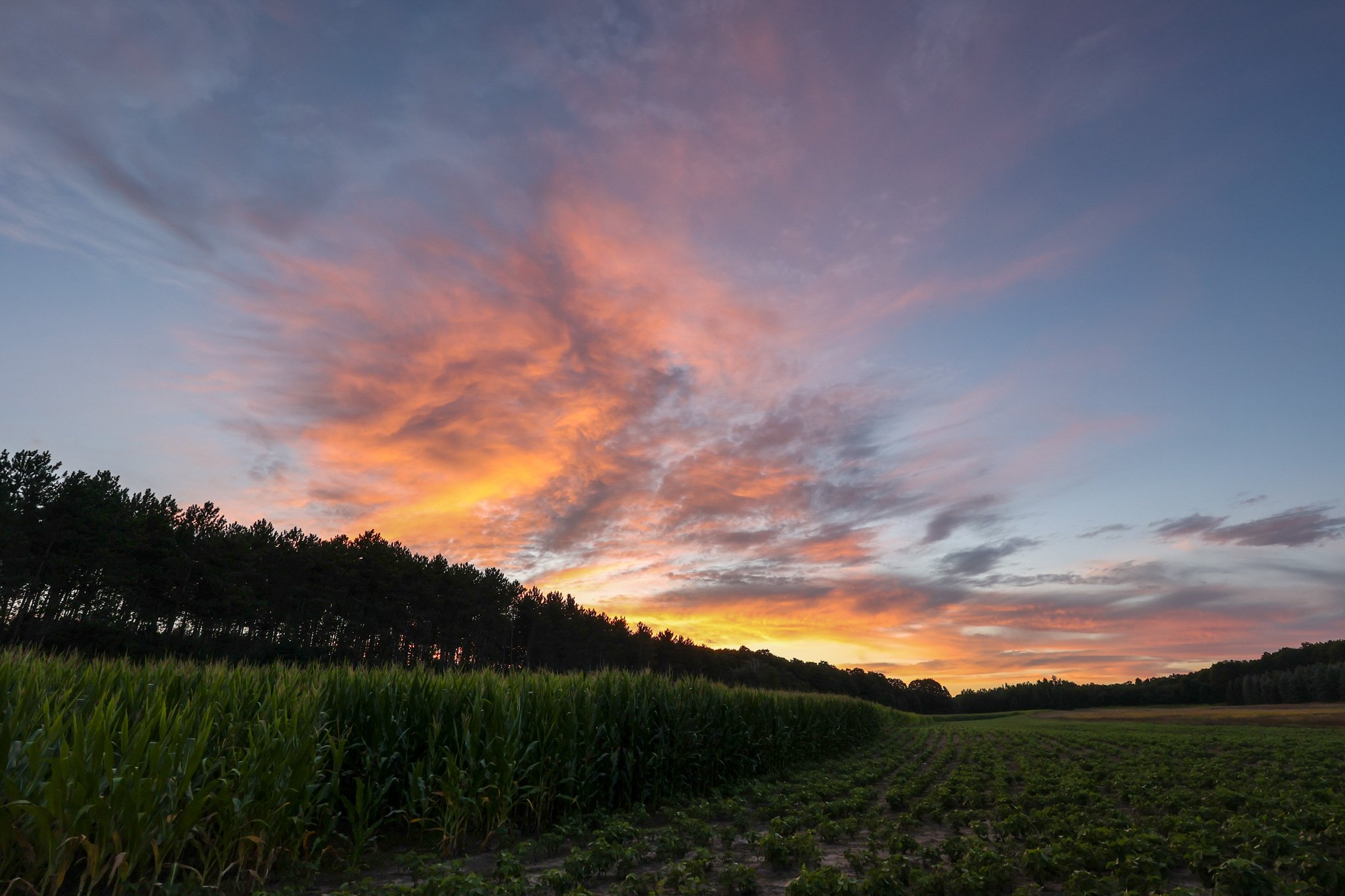 Sunset on the farm.  8.16.21